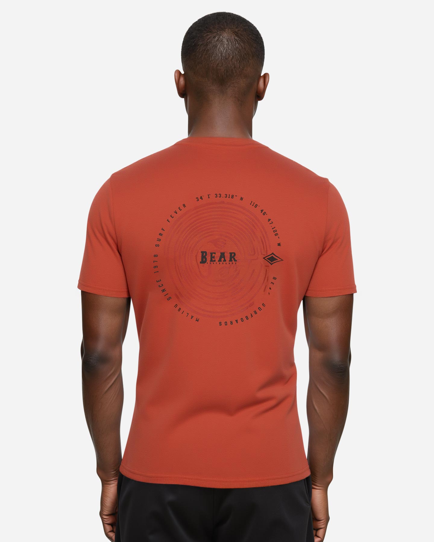 T-shirt BEAR SHORE BREAK M - Marrone - 4 | Cisalfa Sport