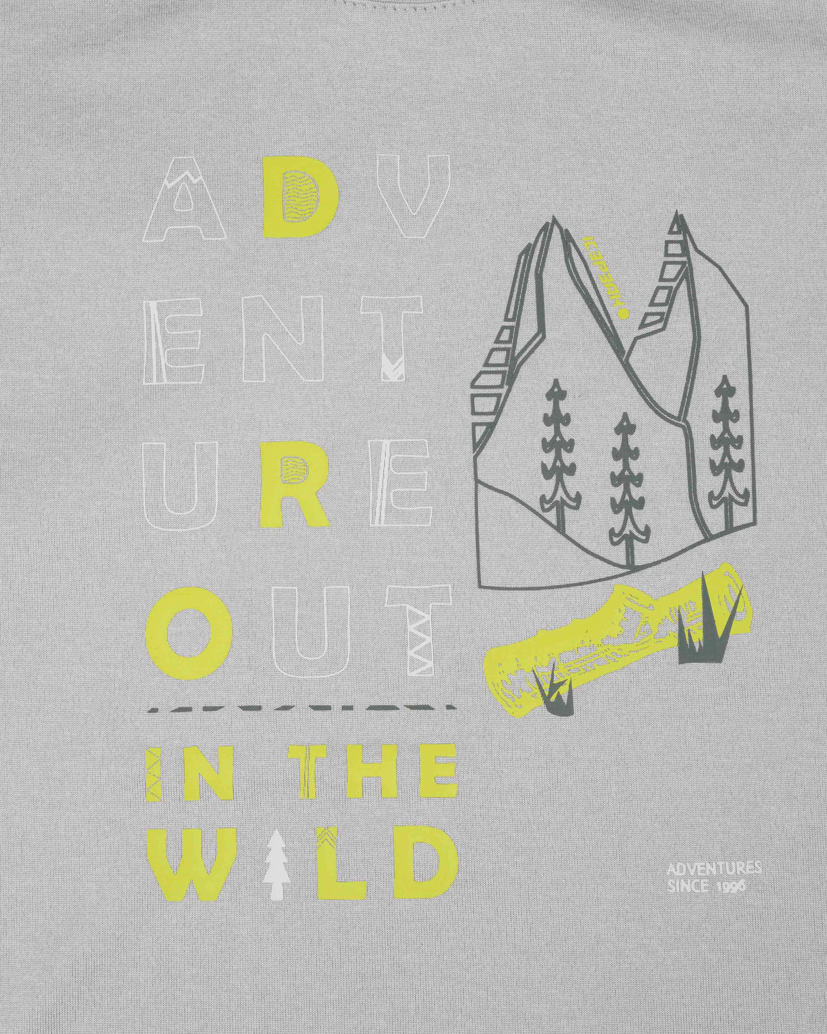 T-shirt ICEPEAK KINCAID JR - Grigio - 4 | Cisalfa Sport