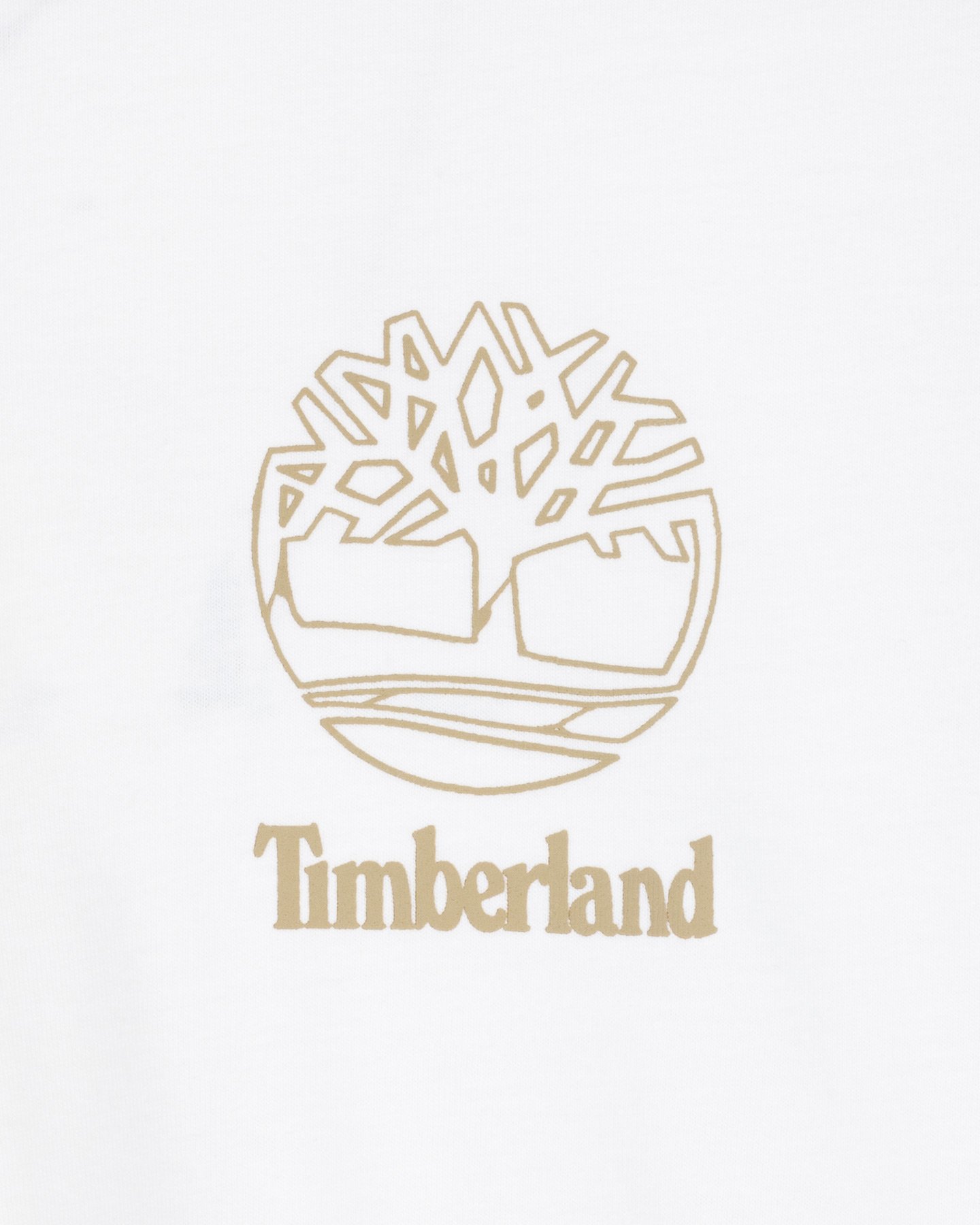 T-shirt TIMBERLAND GRAFIC BACK M - 5 | Cisalfa Sport