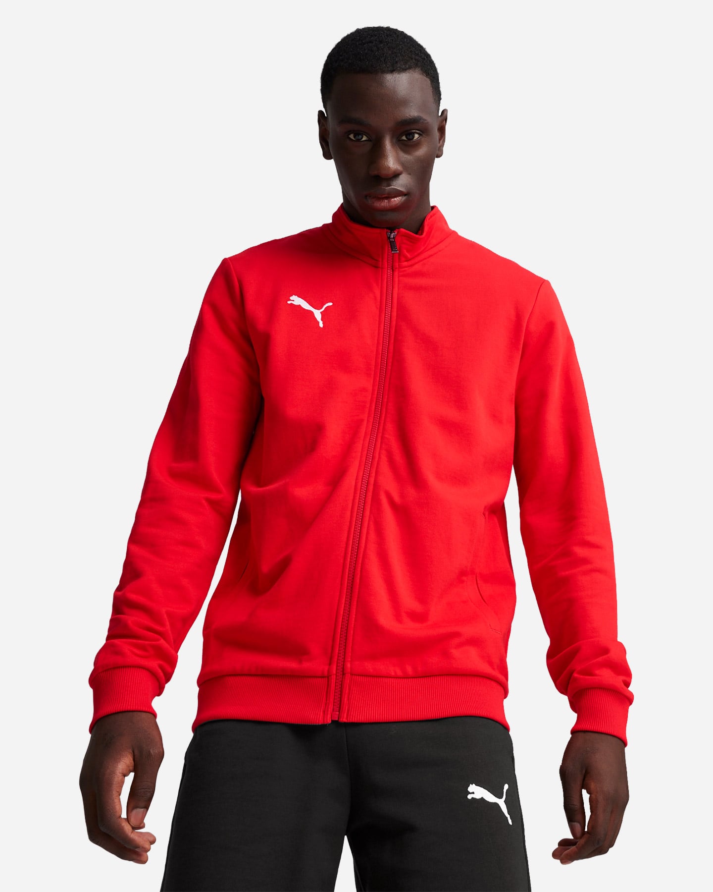 Maglia calcio PUMA TEAMGOAL M - Rosso - 2 | Cisalfa Sport