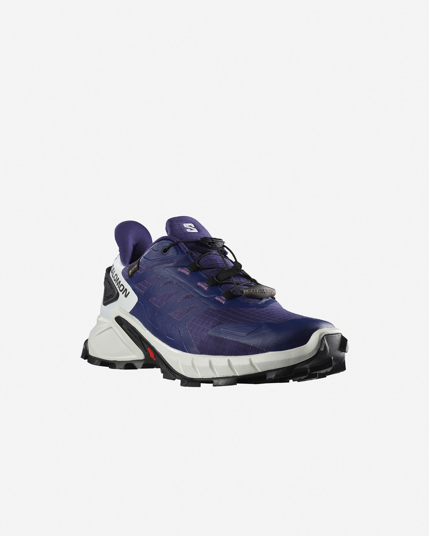 Scarpe trail SALOMON SUPERCROSS 4 GTX W - Viola - 1 | Cisalfa Sport