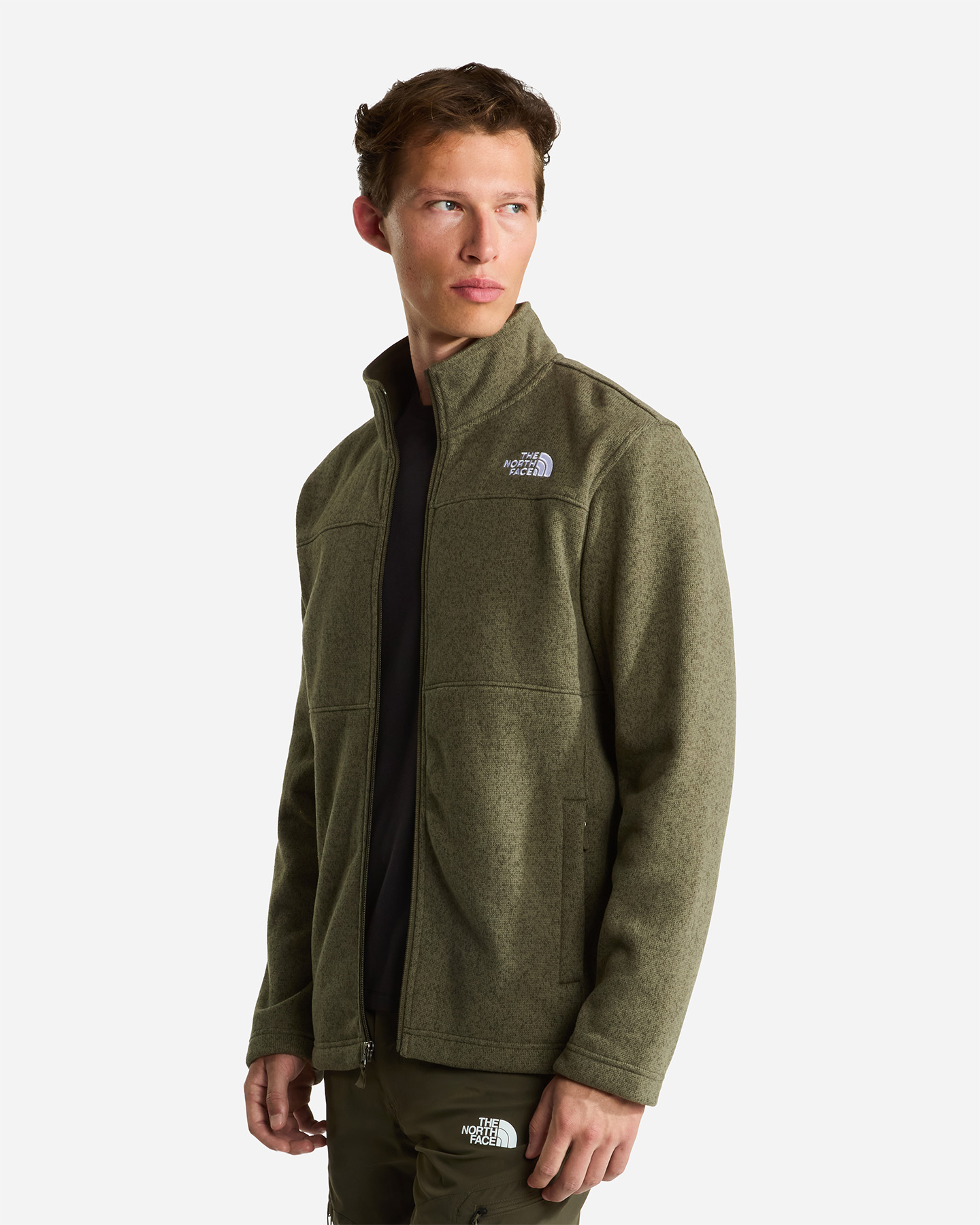 Pile THE NORTH FACE GORDON LYONS M - Verde - 3 | Cisalfa Sport