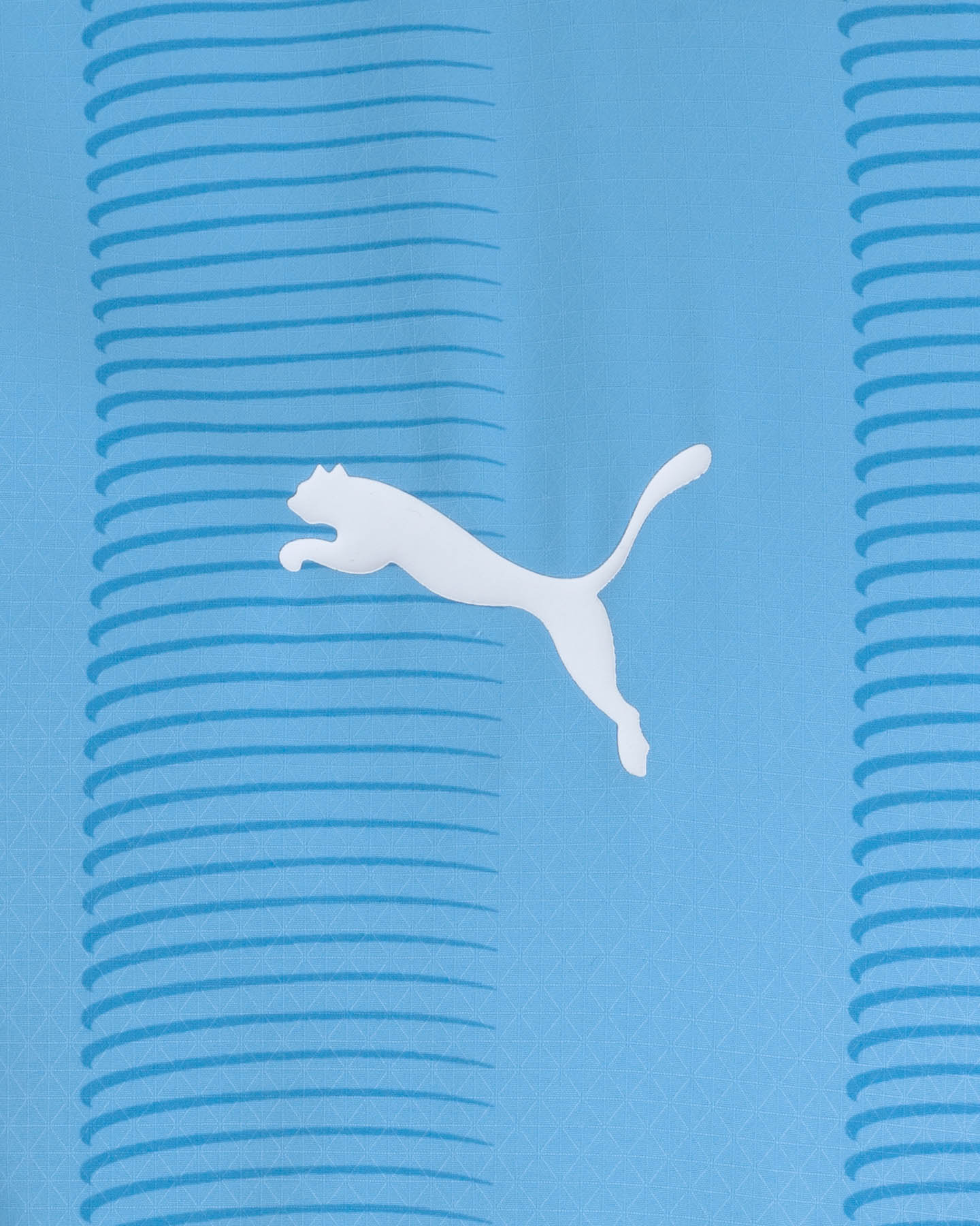 Maglia calcio ufficiale PUMA MANCHESTER CITY HOME AUTH 23-24 M - Azzurro - 2 | Cisalfa Sport