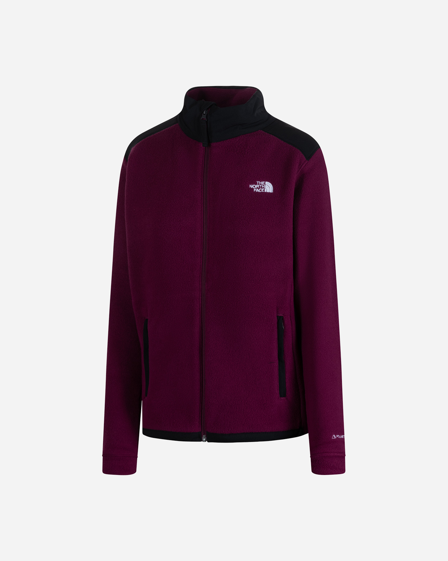 Pile THE NORTH FACE ALPINE POLARTEC200 W - 2 | Cisalfa Sport