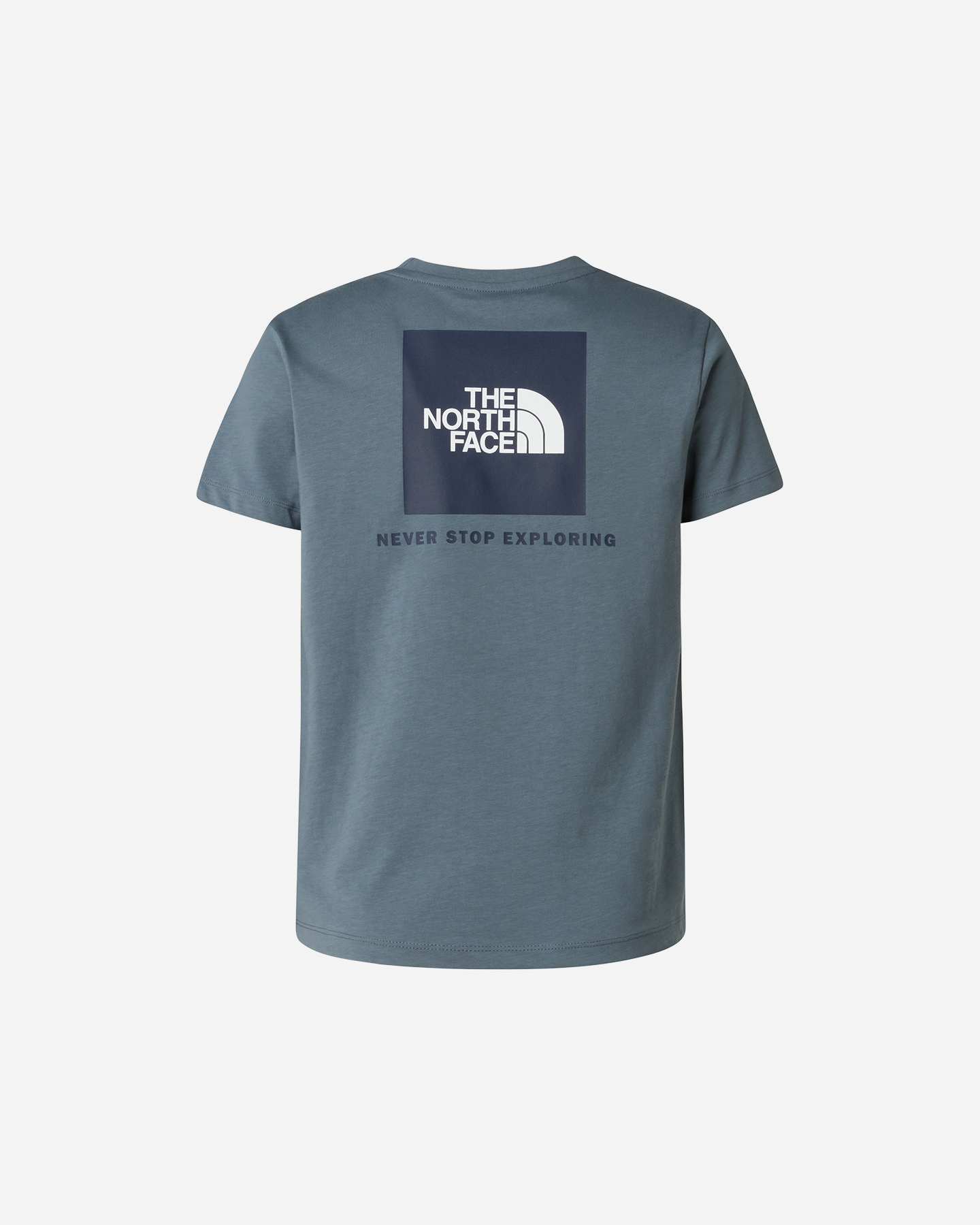 T-shirt THE NORTH FACE BOX NSE JR - Grigio - 1 | Cisalfa Sport