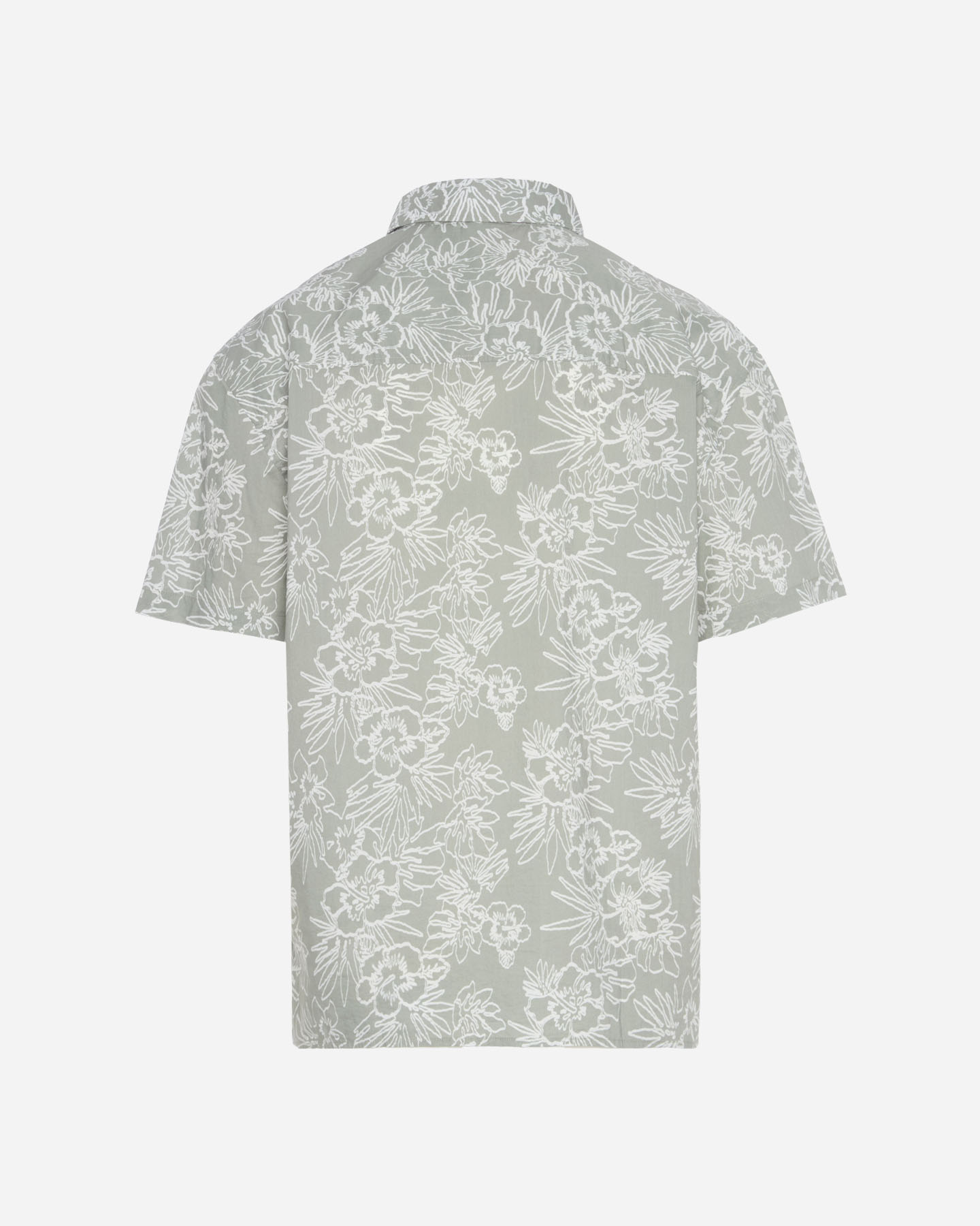 T-shirt BEAR WAVES AFTER WAVES M - Verde - 1 | Cisalfa Sport