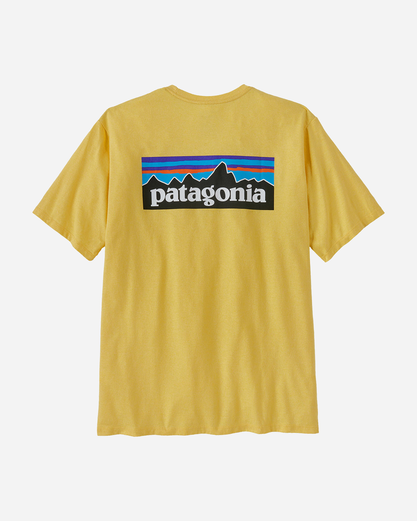 T-shirt PATAGONIA BIG LOGO M - 5 | Cisalfa Sport