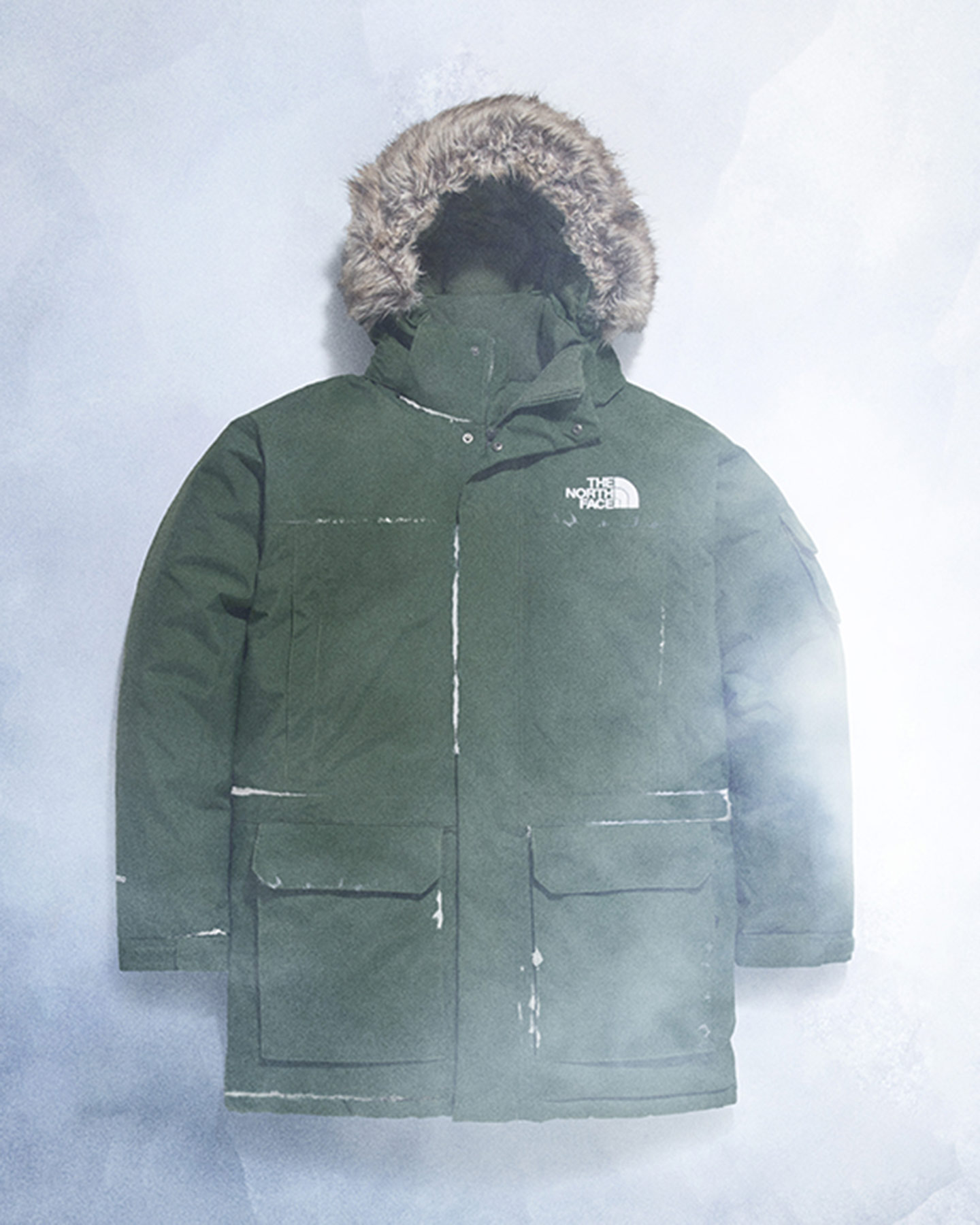 Piumino THE NORTH FACE MCMURDO M - Verde - 4 | Cisalfa Sport