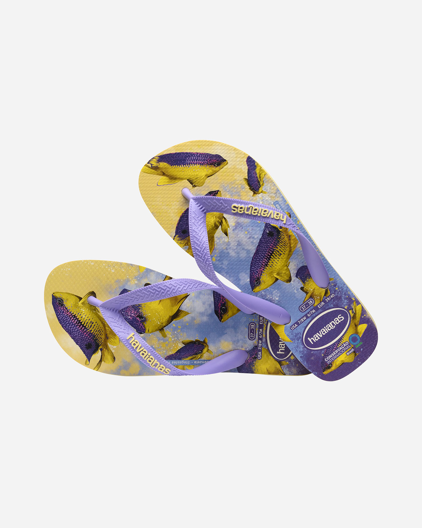 Infradito HAVAIANAS CONSERVATION M - Giallo - 1 | Cisalfa Sport