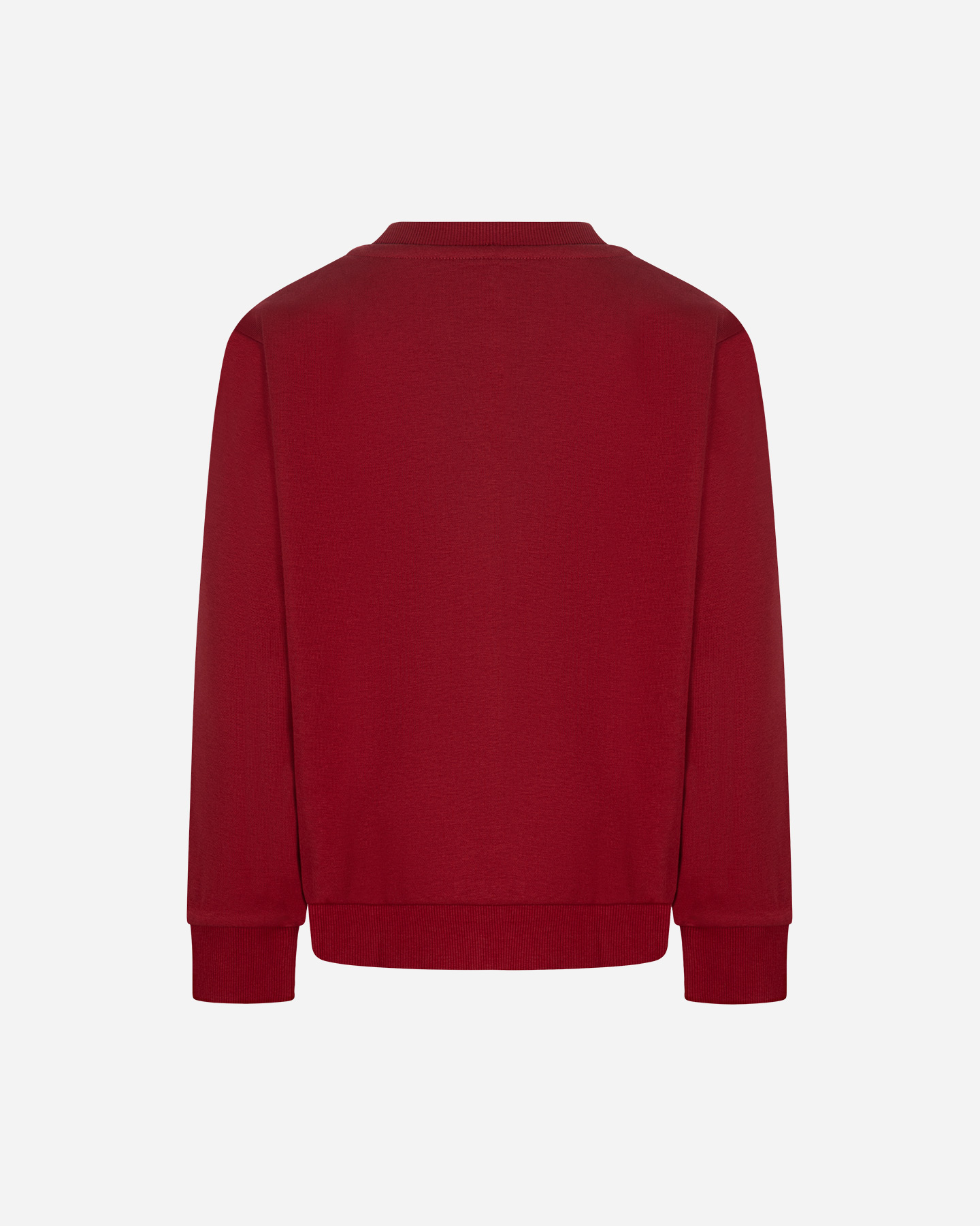 Felpa ARENA ATHLETIC ESSENTIAL JR - Rosso - 1 | Cisalfa Sport