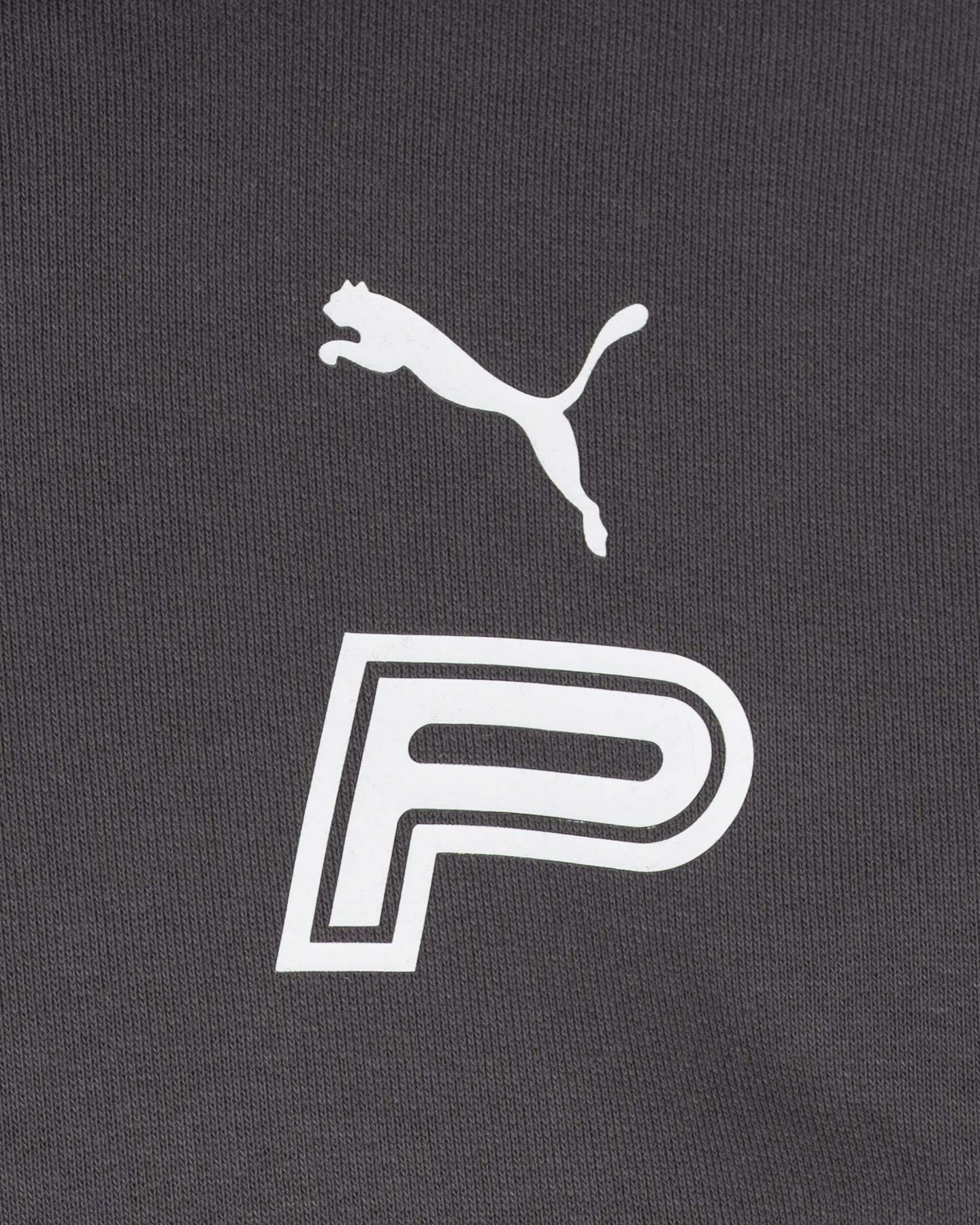 Felpa PUMA FUTURE ARCHIVE M - Antracite - 2 | Cisalfa Sport