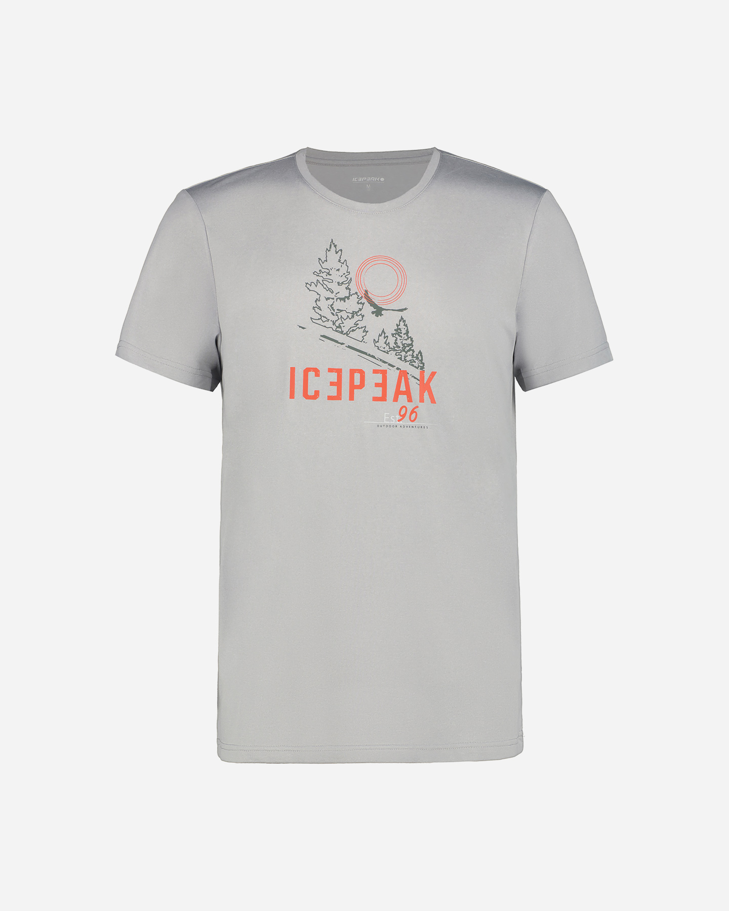 T-shirt ICEPEAK BEARDEN M - Grigio - 0 | Cisalfa Sport