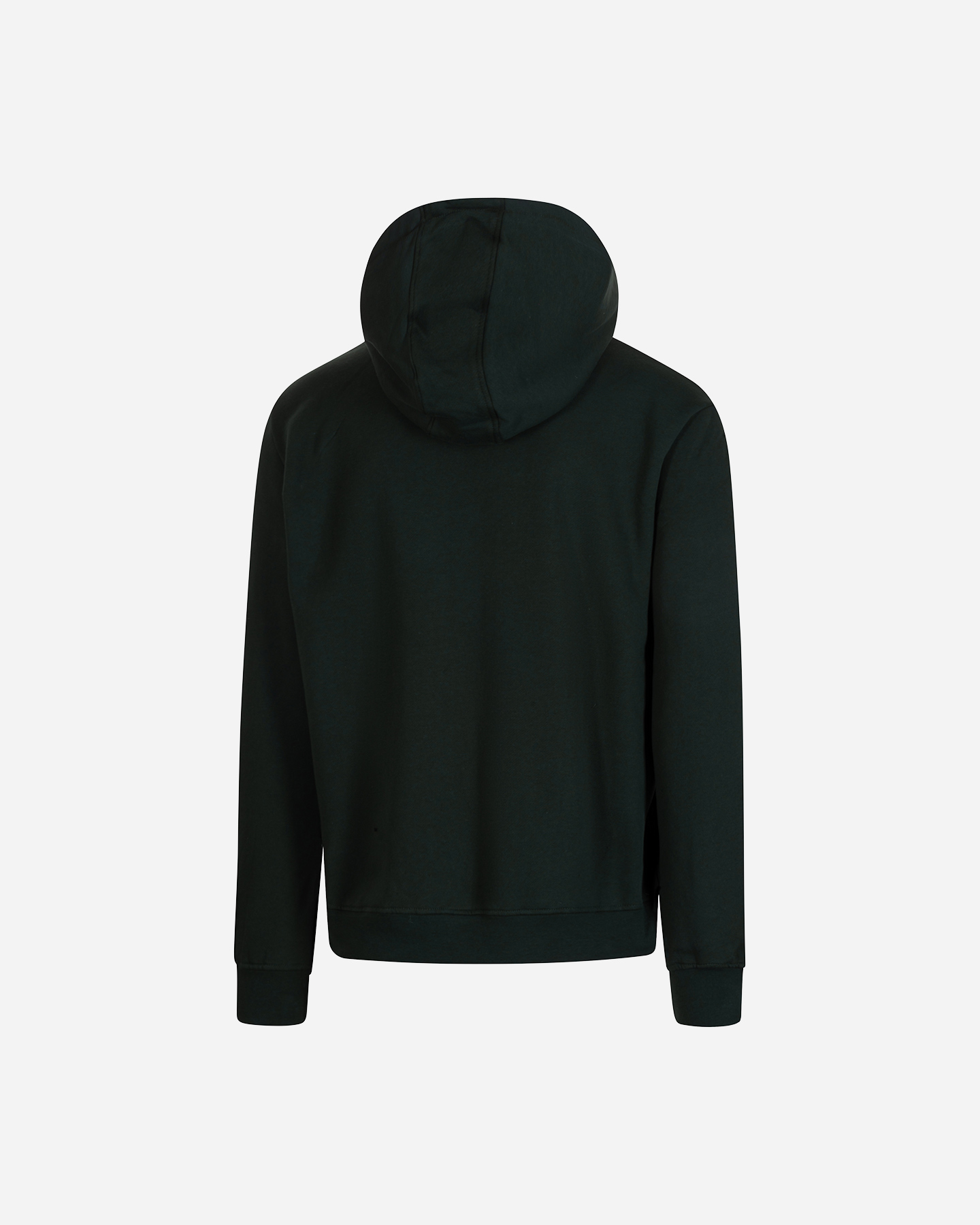 Felpa BEAR SKI M - Verde - 1 | Cisalfa Sport