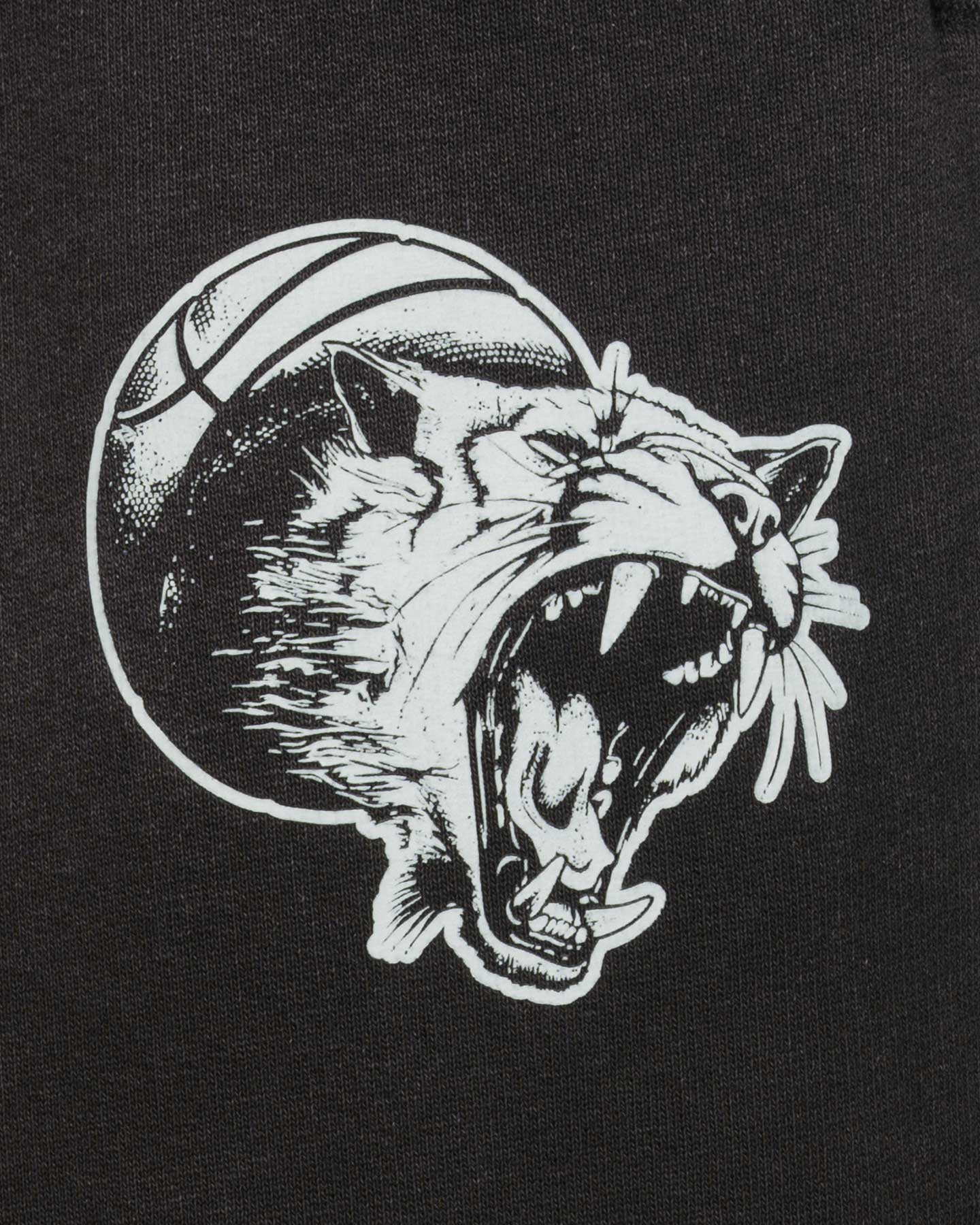 Pantalone PUMA HOOPs DREAMZ M - Nero - 2 | Cisalfa Sport