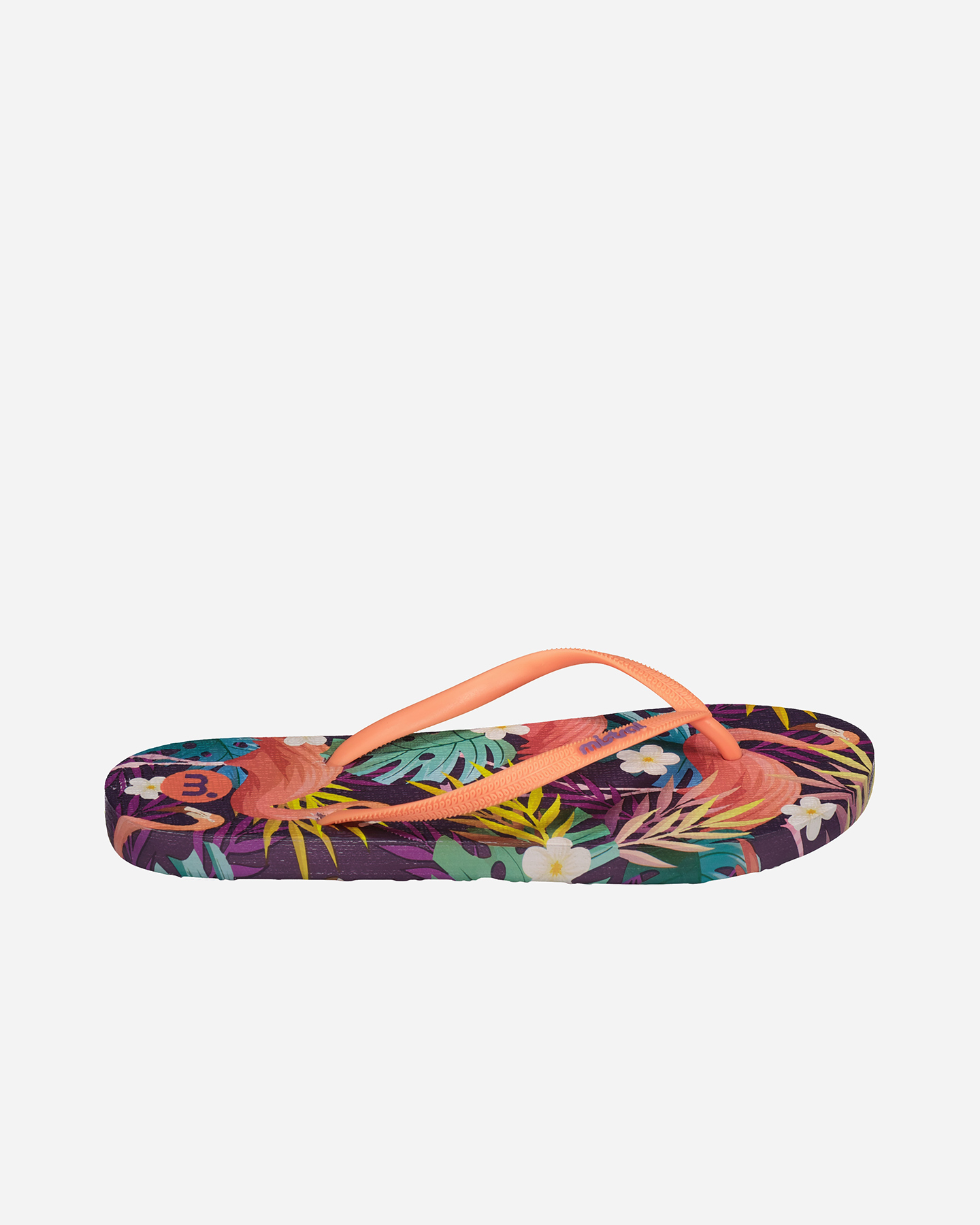Infradito MISTRAL PRINT W - Color mix - 1 | Cisalfa Sport