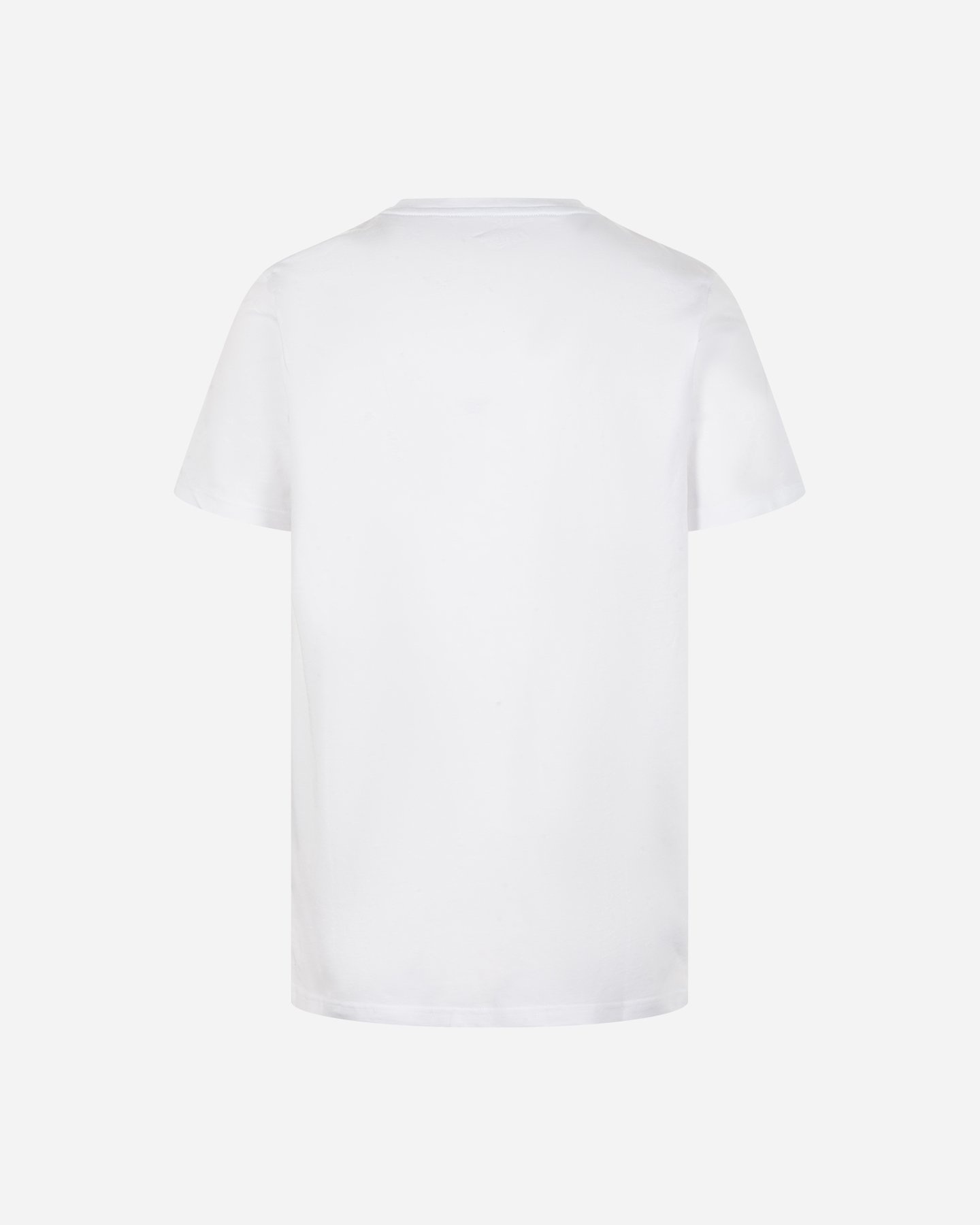 T-shirt BEAR ICONIC SURF M - Bianco - 1 | Cisalfa Sport