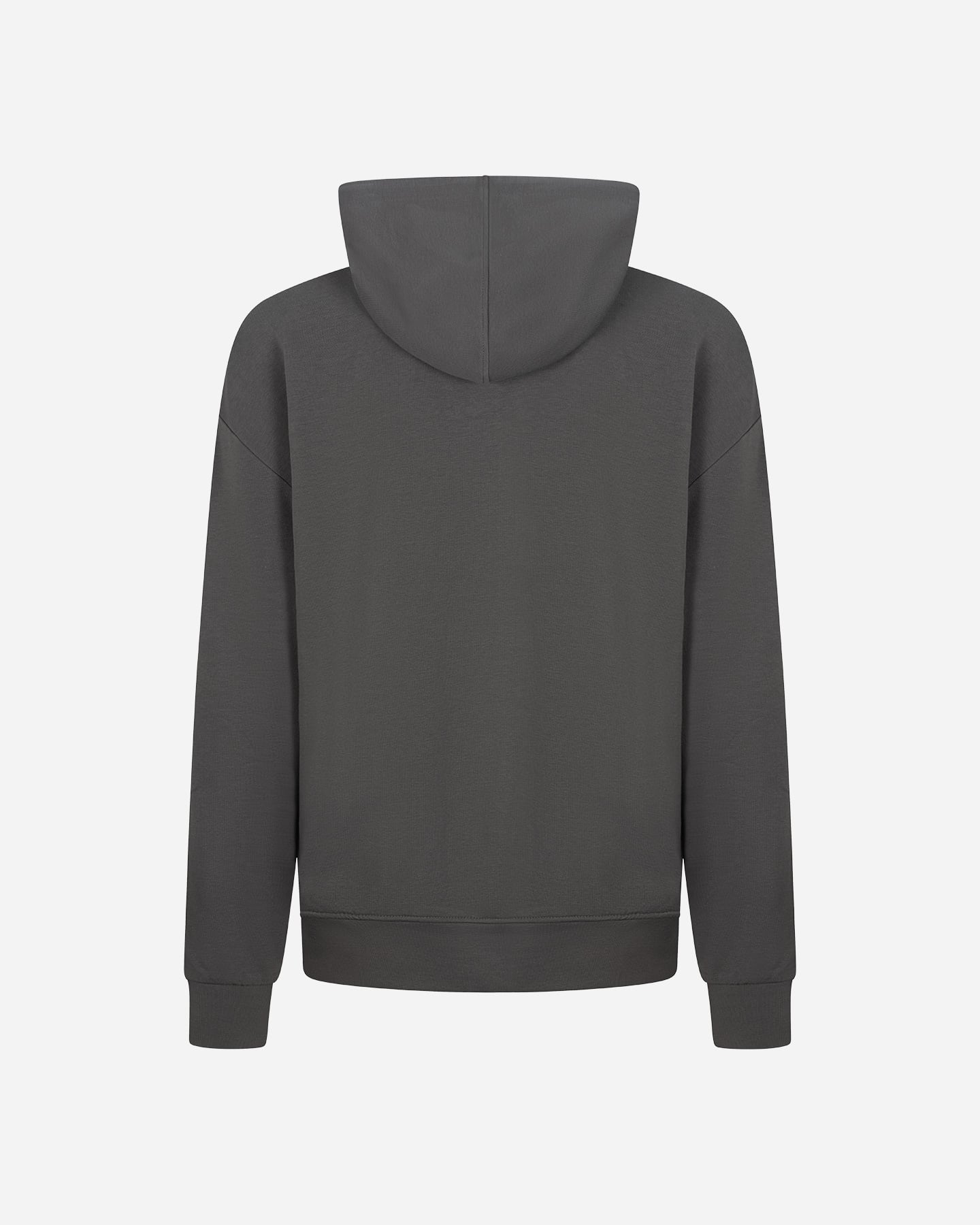 Felpa ARENA ATHLETIC PROGRESS M - Grigio - 1 | Cisalfa Sport