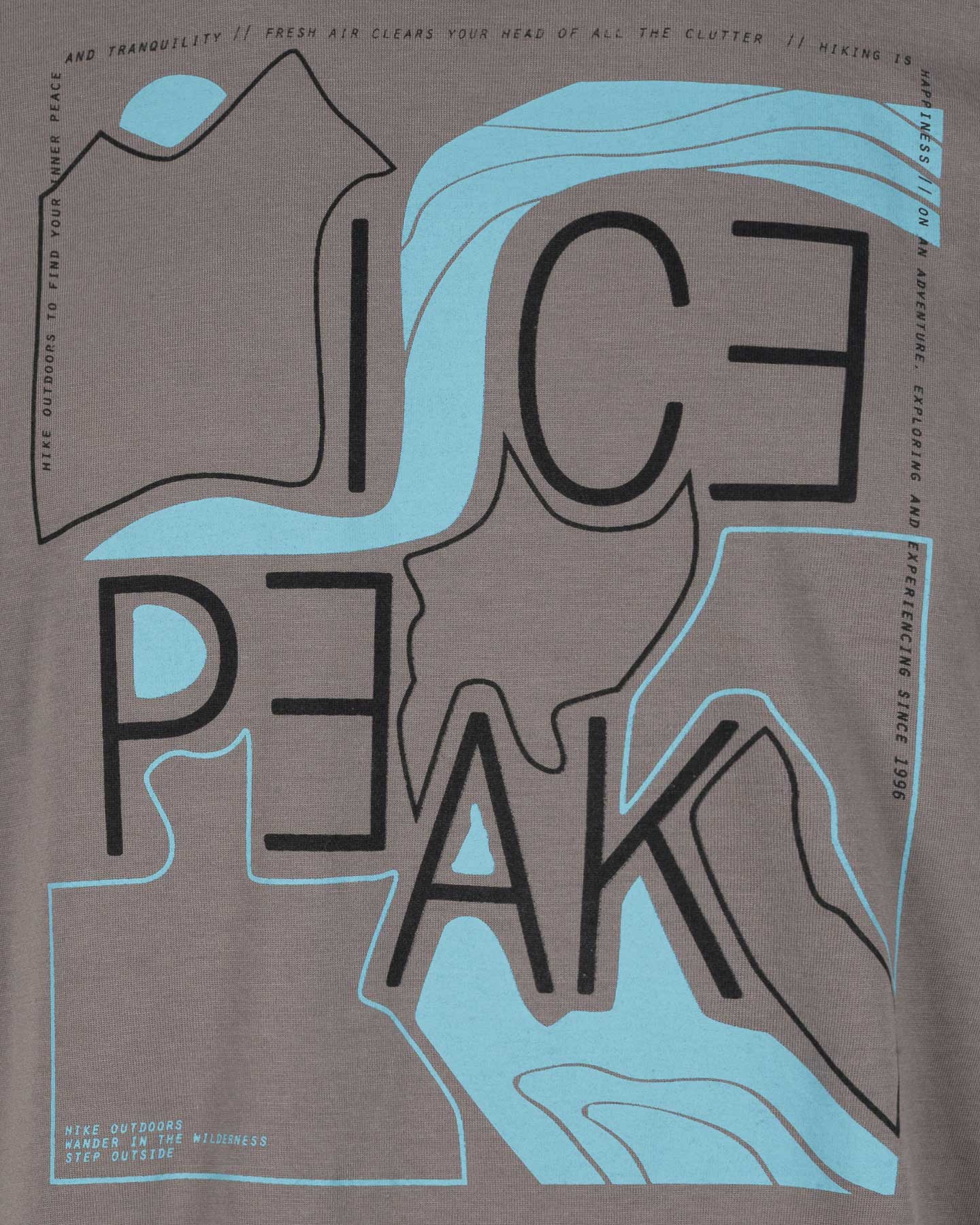 T-shirt ICEPEAK BEEVILLE M - Grigio - 2 | Cisalfa Sport