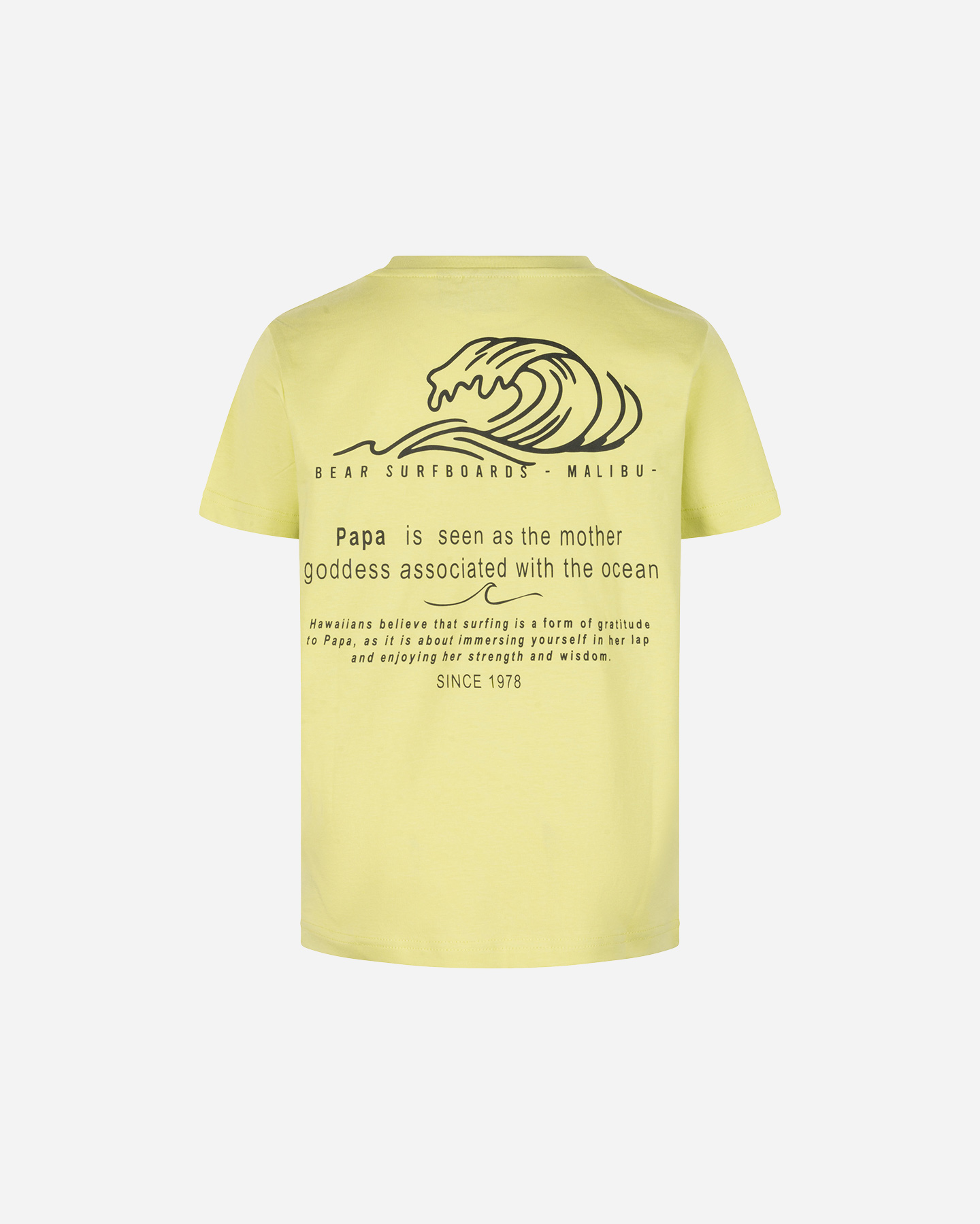 T-shirt BEAR ICONIC SURF JR - Giallo - 1 | Cisalfa Sport