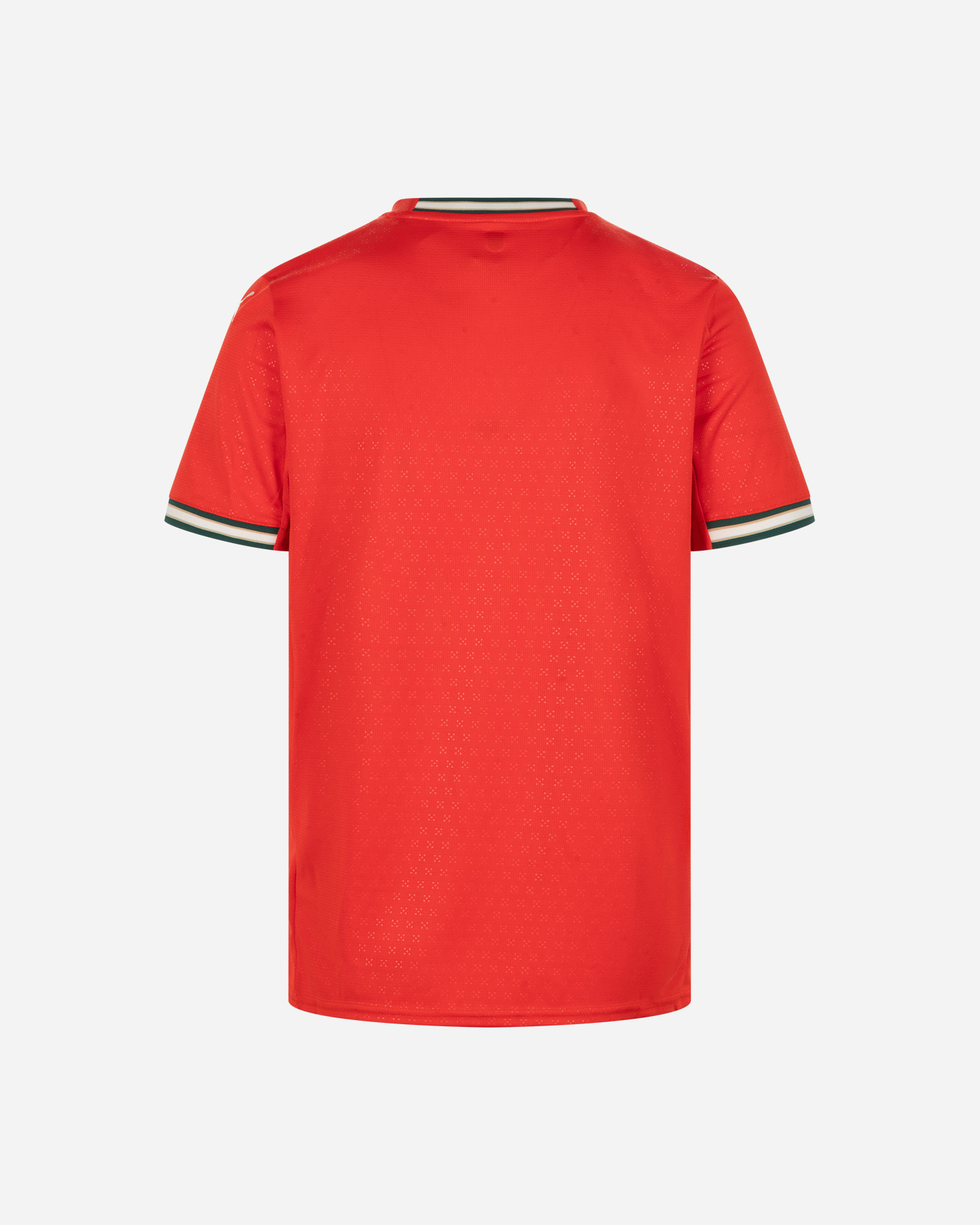 Maglia calcio ufficiale PUMA PORTOGALLO HOME REPLICA M - Color mix - 1 | Cisalfa Sport