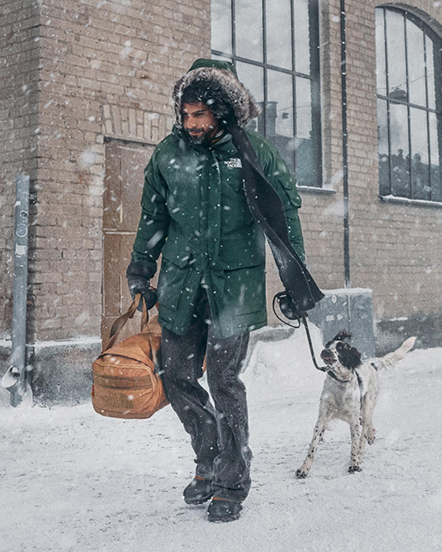 Piumino THE NORTH FACE MCMURDO M - Verde - 5 | Cisalfa Sport