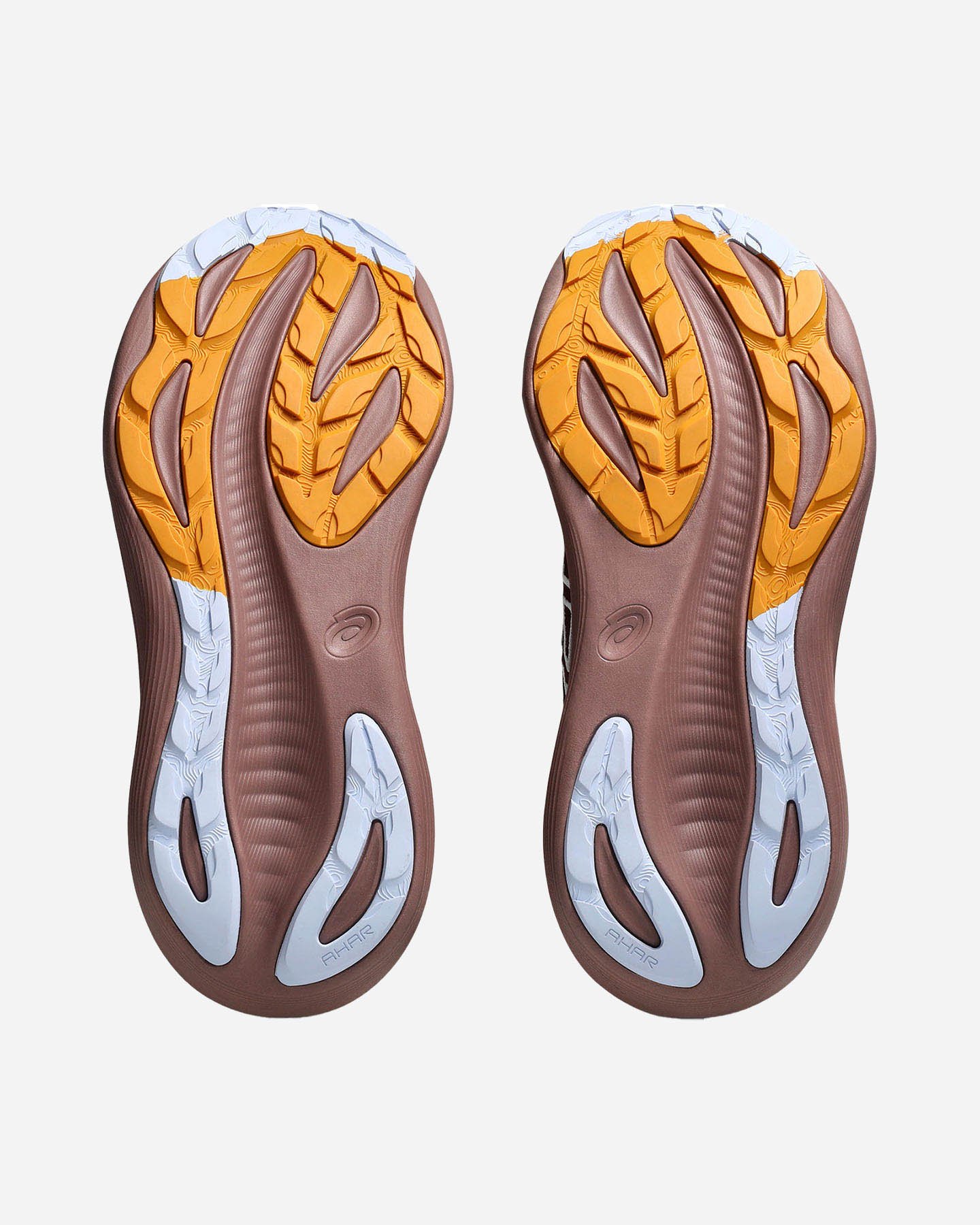 Scarpe running ASICS GEL-NIMBUS 27 TR W - Marrone - 2 | Cisalfa Sport