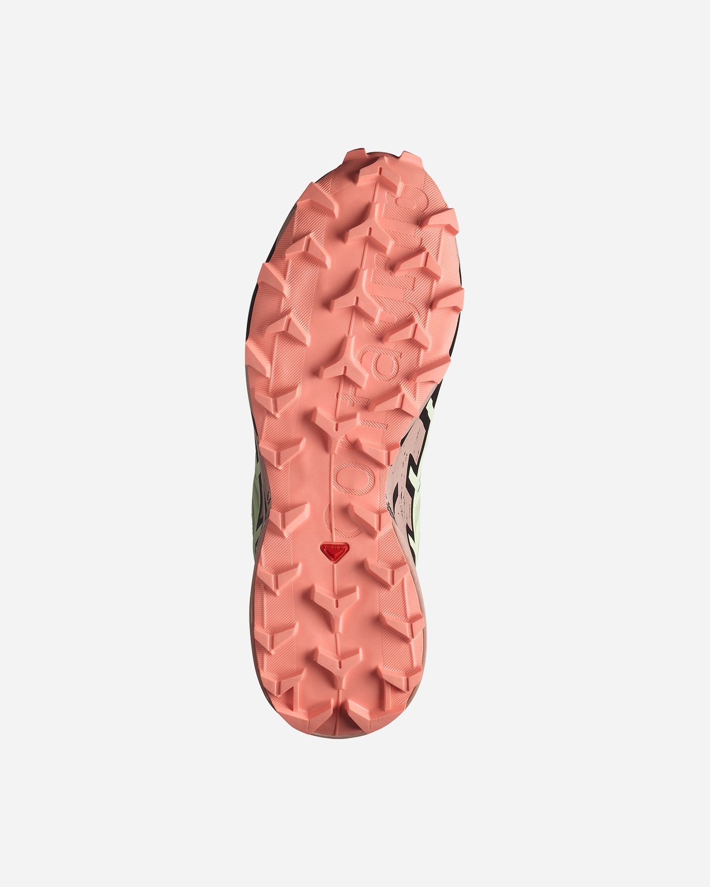 Scarpe trail SALOMON SPEEDCROSS 6 GTX W - Beige - 2 | Cisalfa Sport