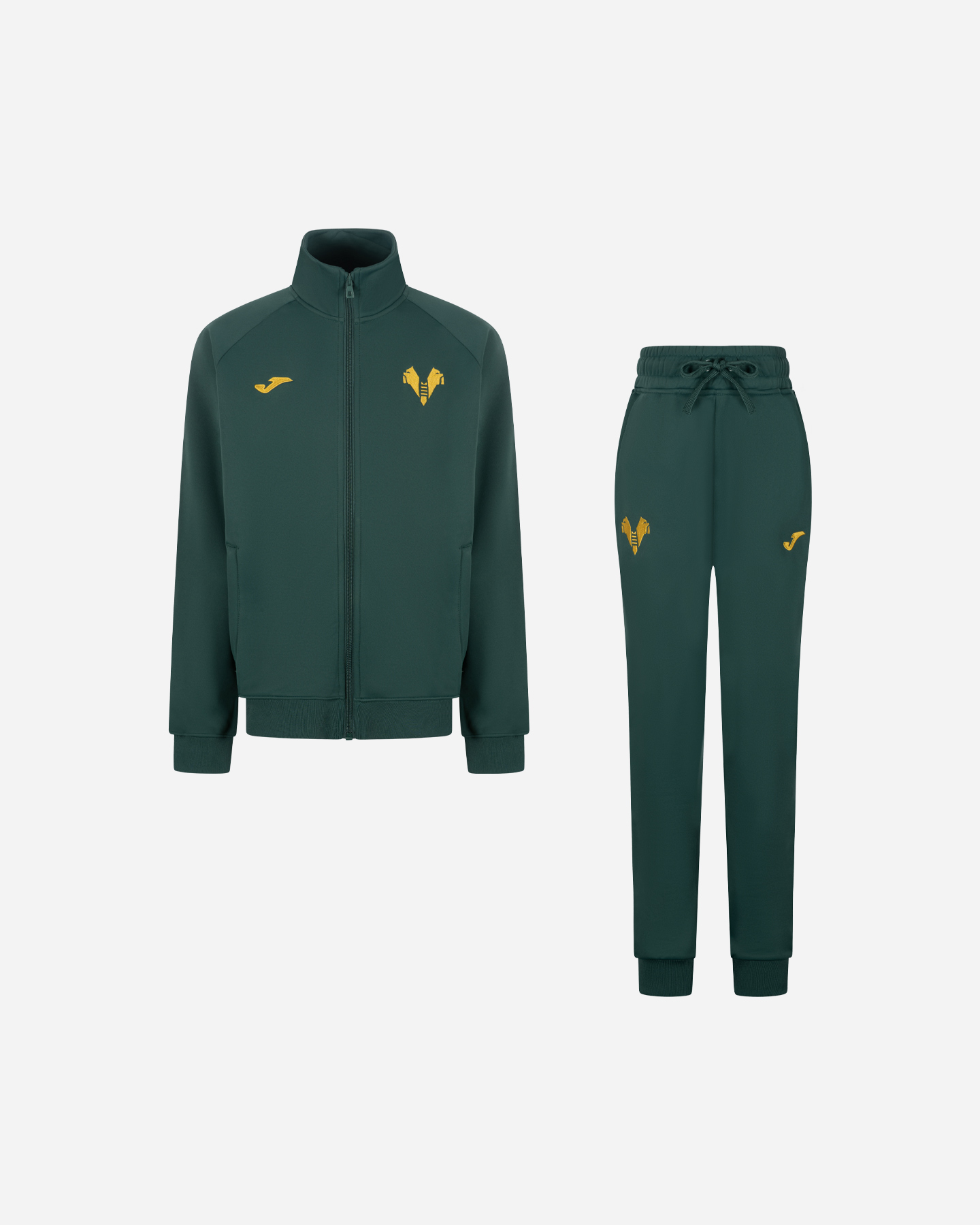 Tuta calcio ufficiale JOMA VERONA 25-26 JR - Color mix - 0 | Cisalfa Sport
