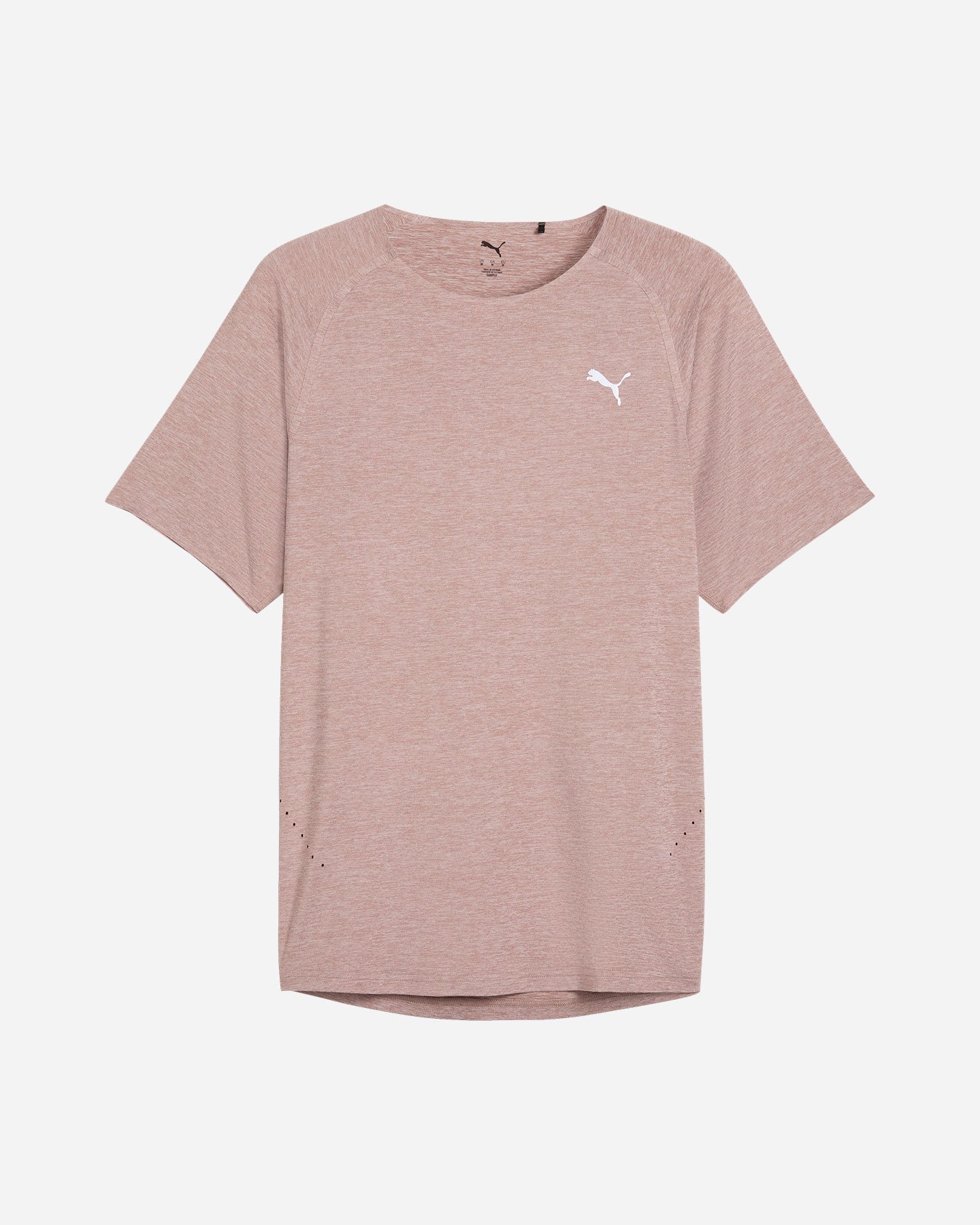T-shirt running PUMA EVERYDAY CLOUDSPUN M - Marrone - 0 | Cisalfa Sport