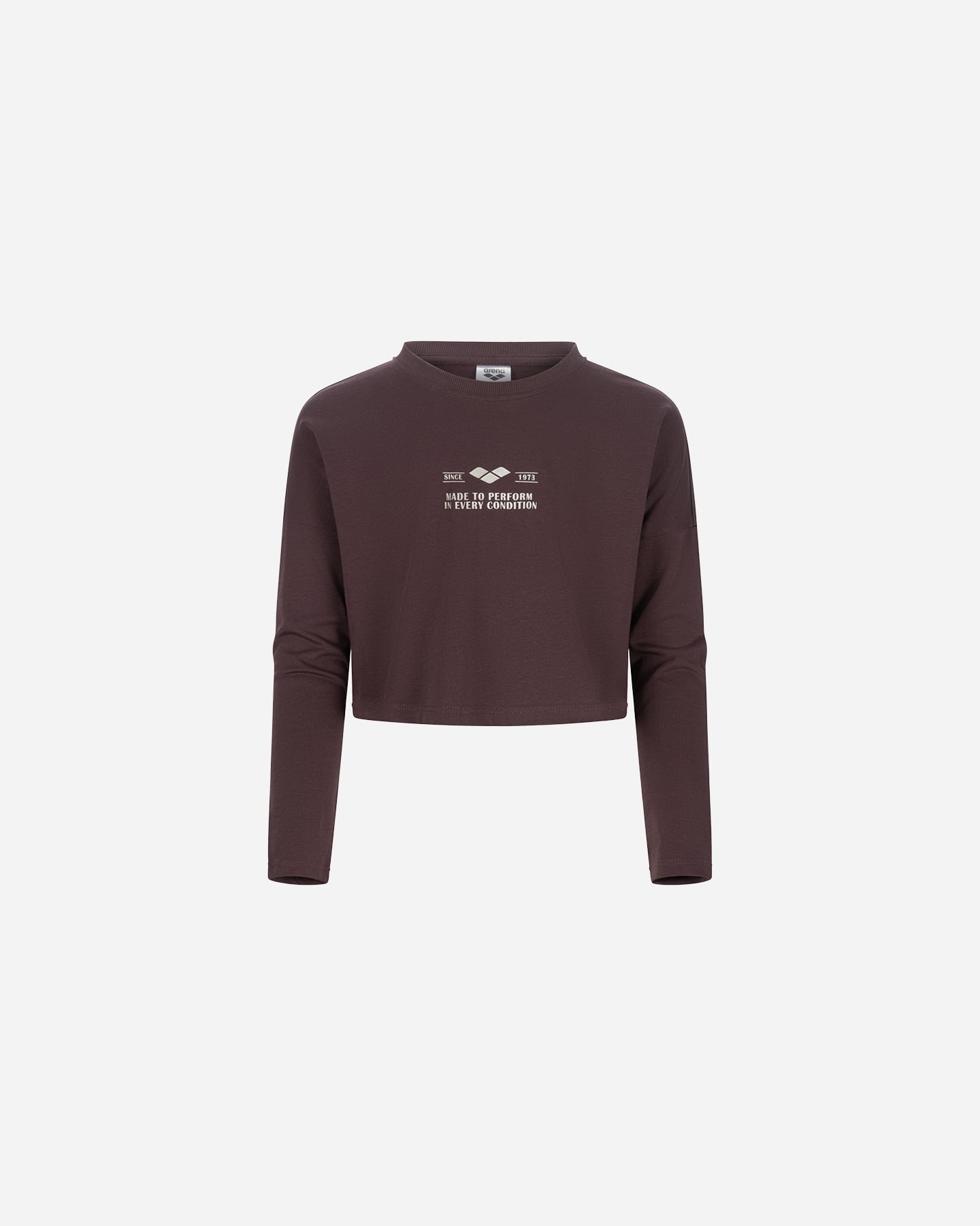 T-shirt ARENA ATHLETIC JR - Marrone - 0 | Cisalfa Sport