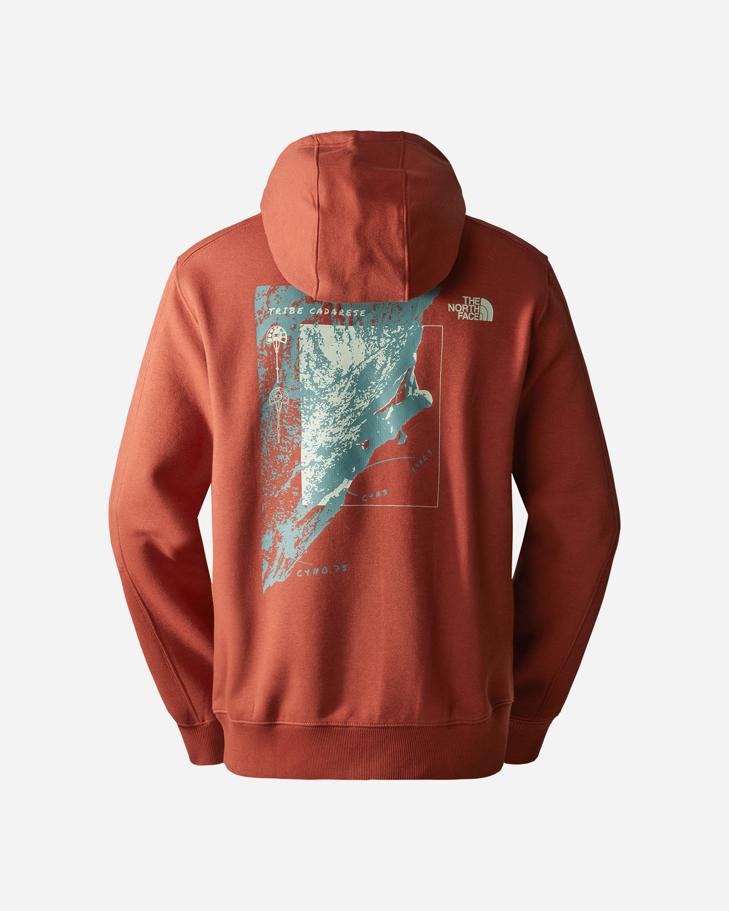 Felpa THE NORTH FACE OUTDOOR GRAPHIC M - 3 | Cisalfa Sport