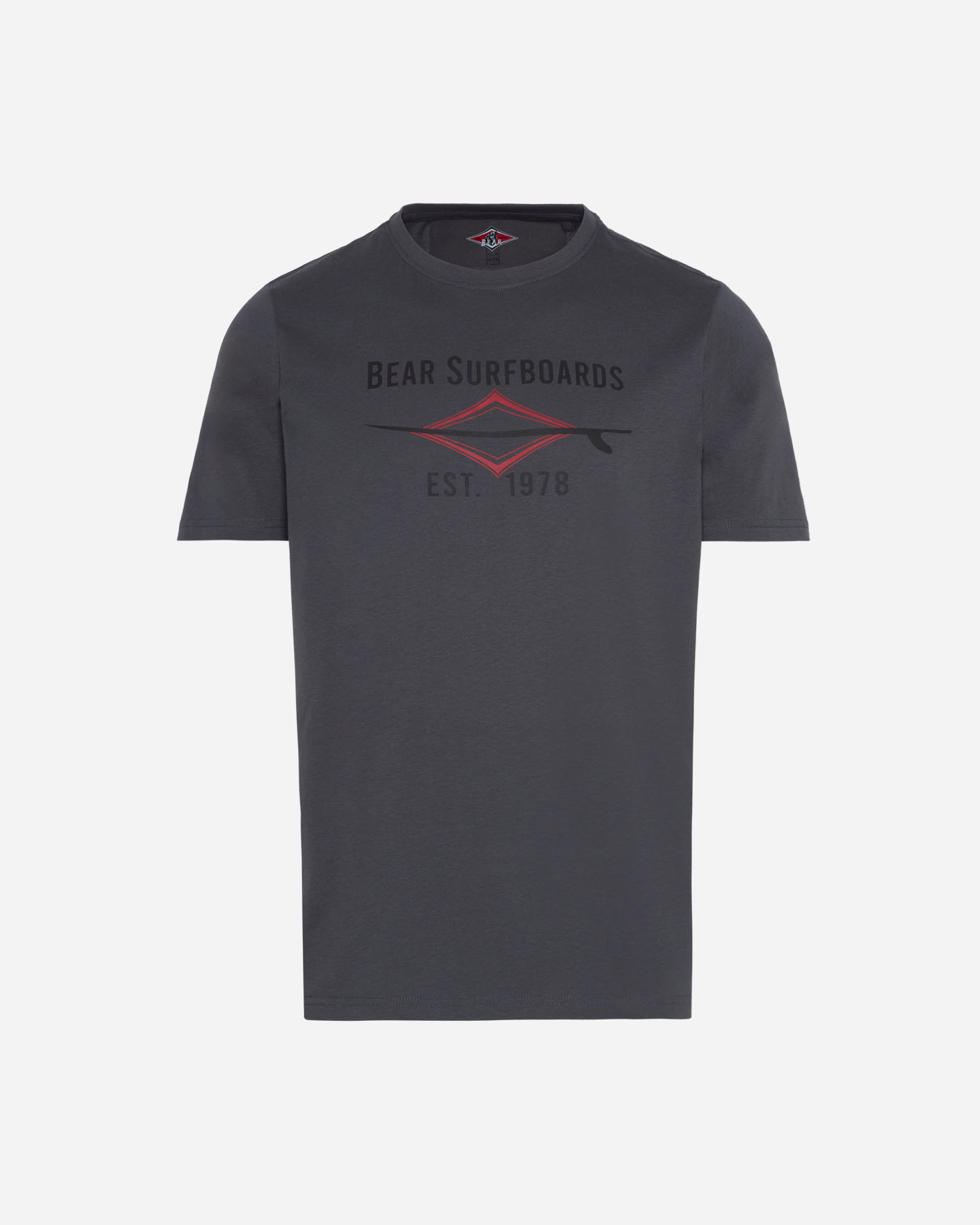T-shirt BEAR WAVES AFTER WAVES M - Grigio - 0 | Cisalfa Sport