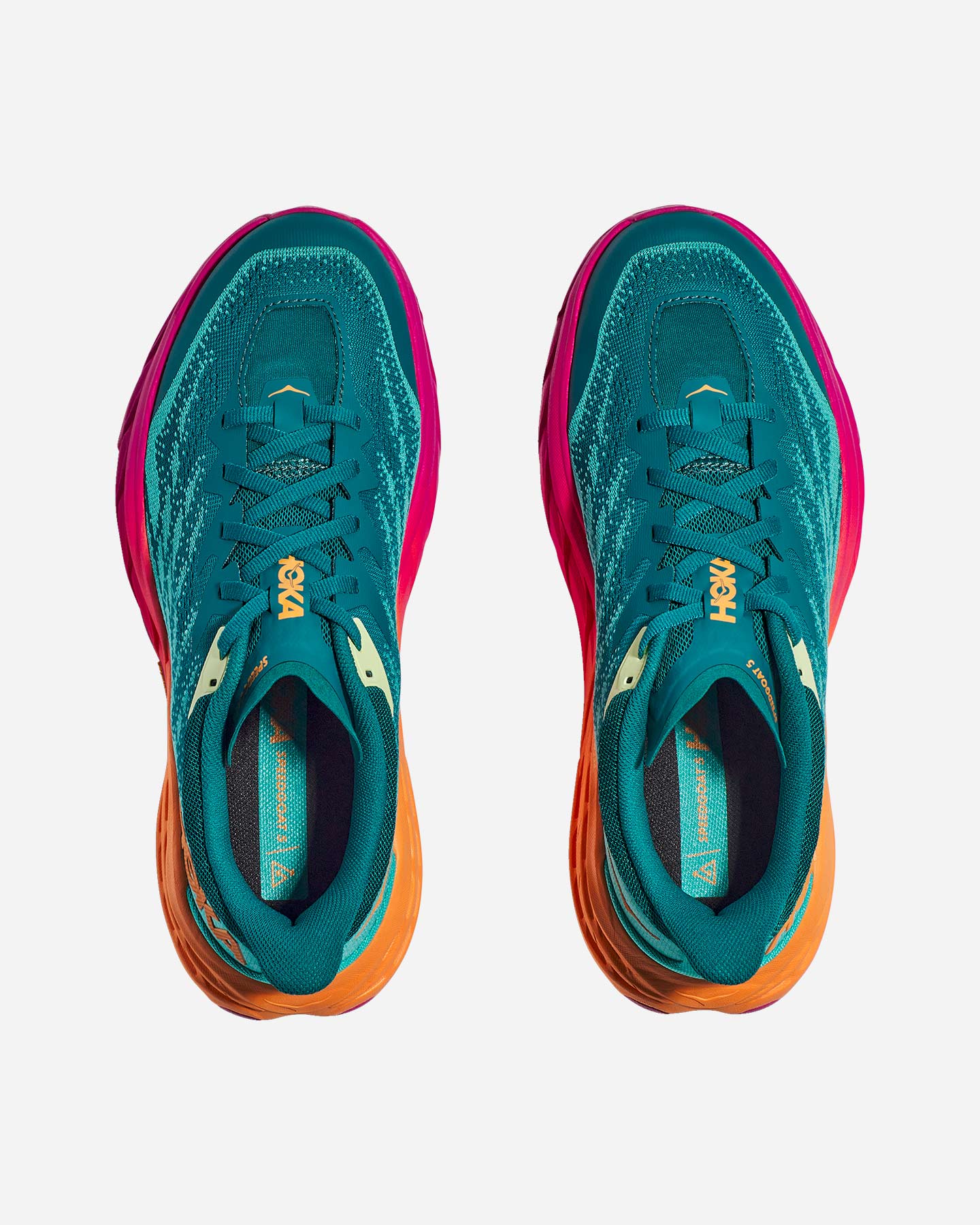 Scarpe trail HOKA SPEEDGOAT 5 M - 9 | Cisalfa Sport