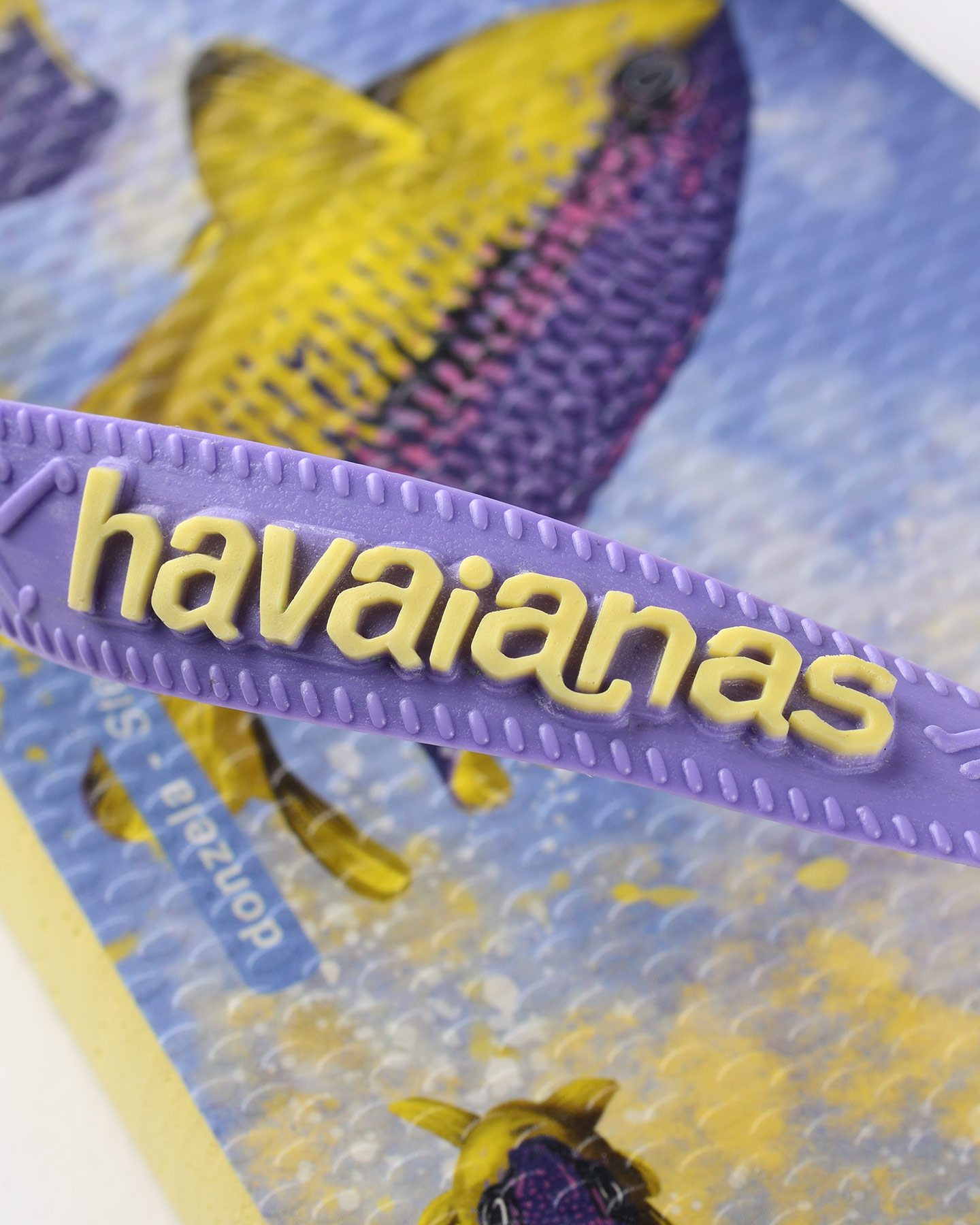 Infradito HAVAIANAS CONSERVATION M - 10 | Cisalfa Sport