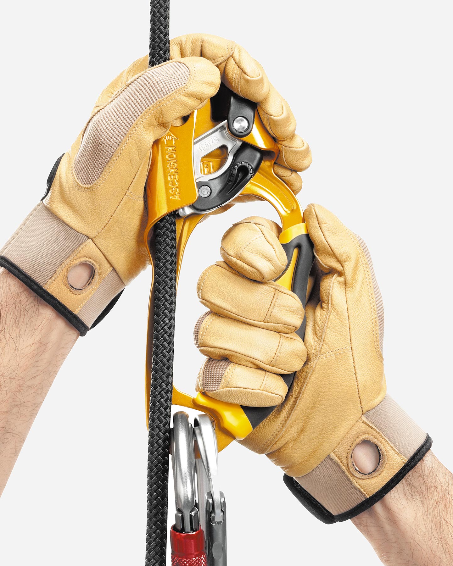 Discensore PETZL ASCENSION DX  - Arancione - 3 | Cisalfa Sport