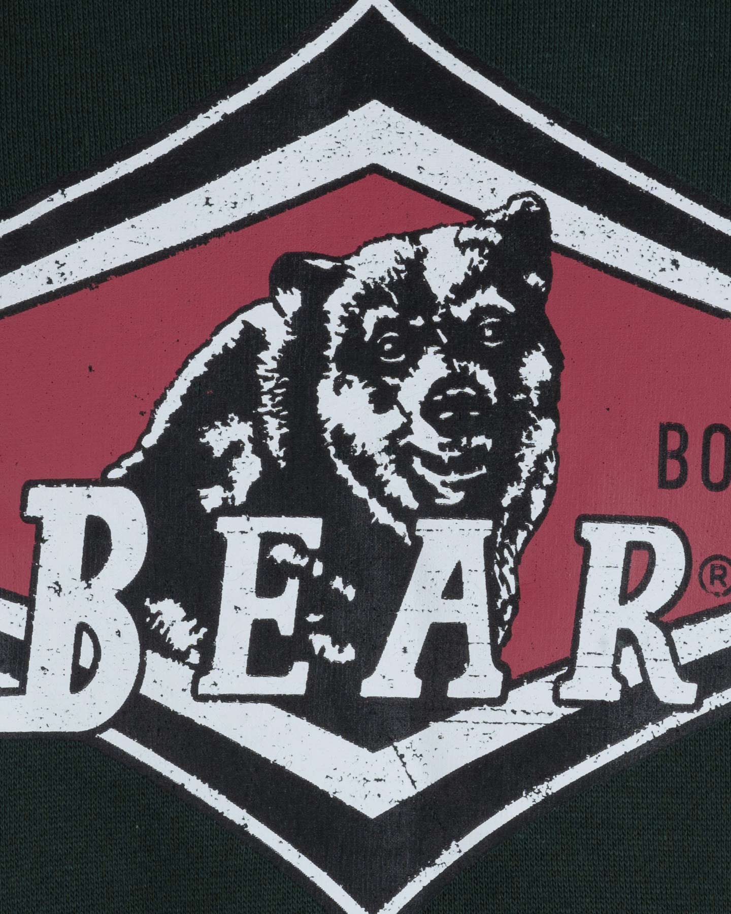 Felpa BEAR SKI M - Verde - 2 | Cisalfa Sport