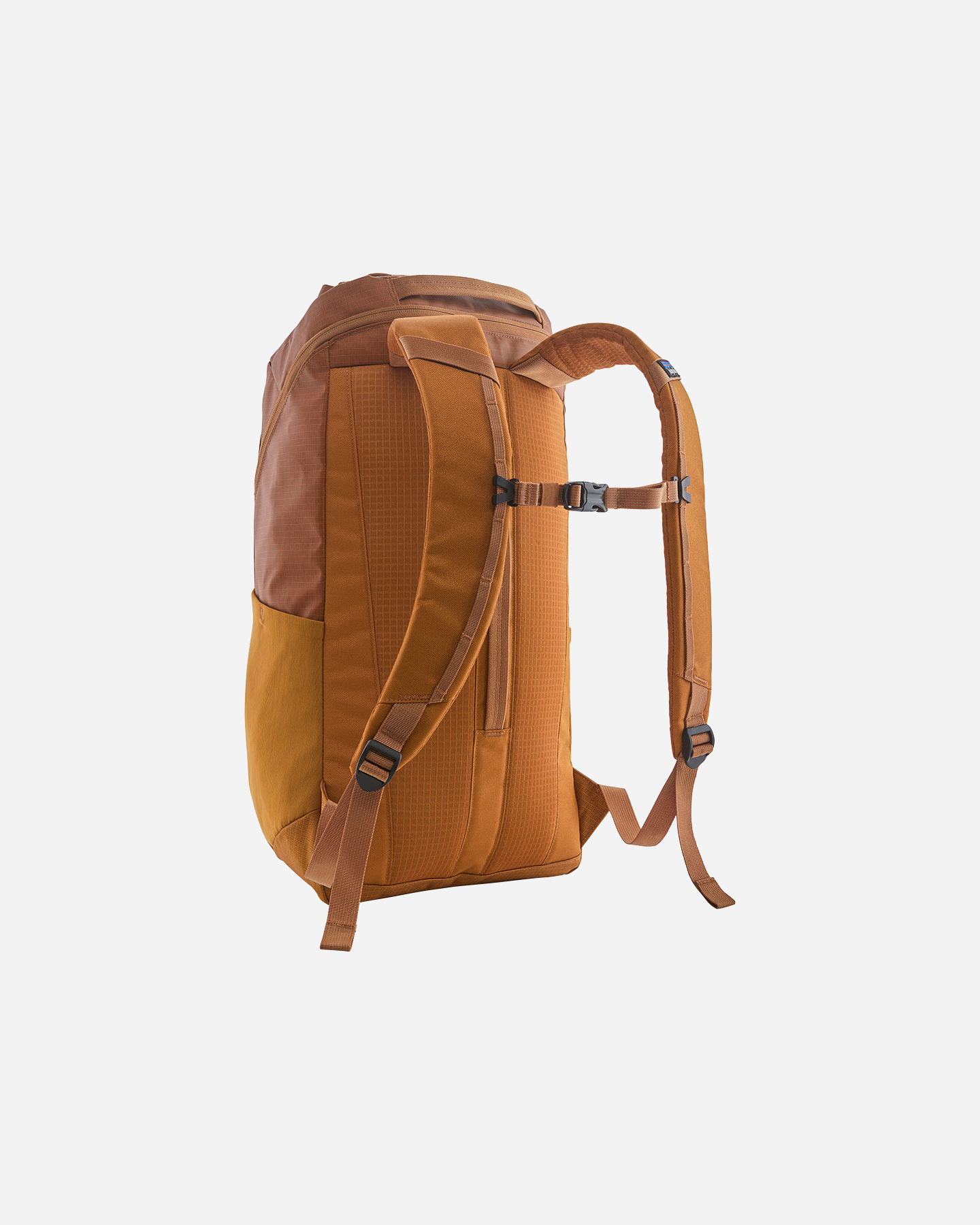 Zaino PATAGONIA BLACK HOLE PACK 25L - Marrone - 1 | Cisalfa Sport