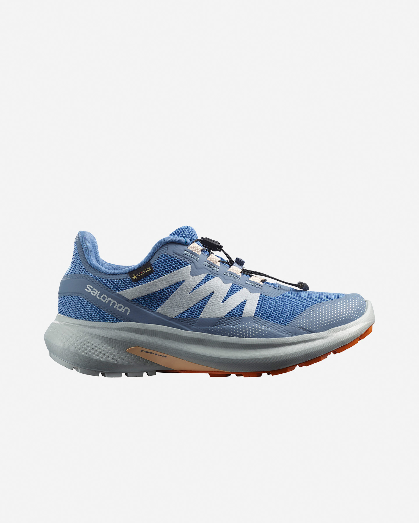 Scarpe trail SALOMON HYPULSE GTX W - 0 | Cisalfa Sport