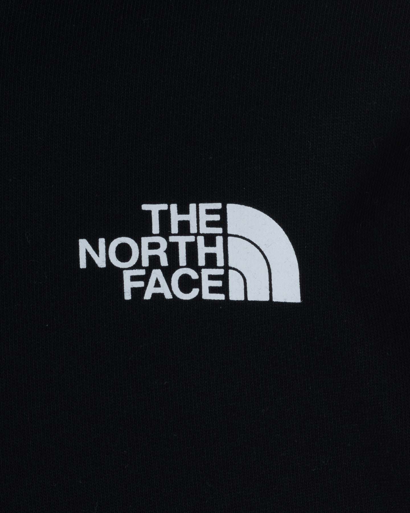 Felpa THE NORTH FACE TACUNE M - 2 | Cisalfa Sport