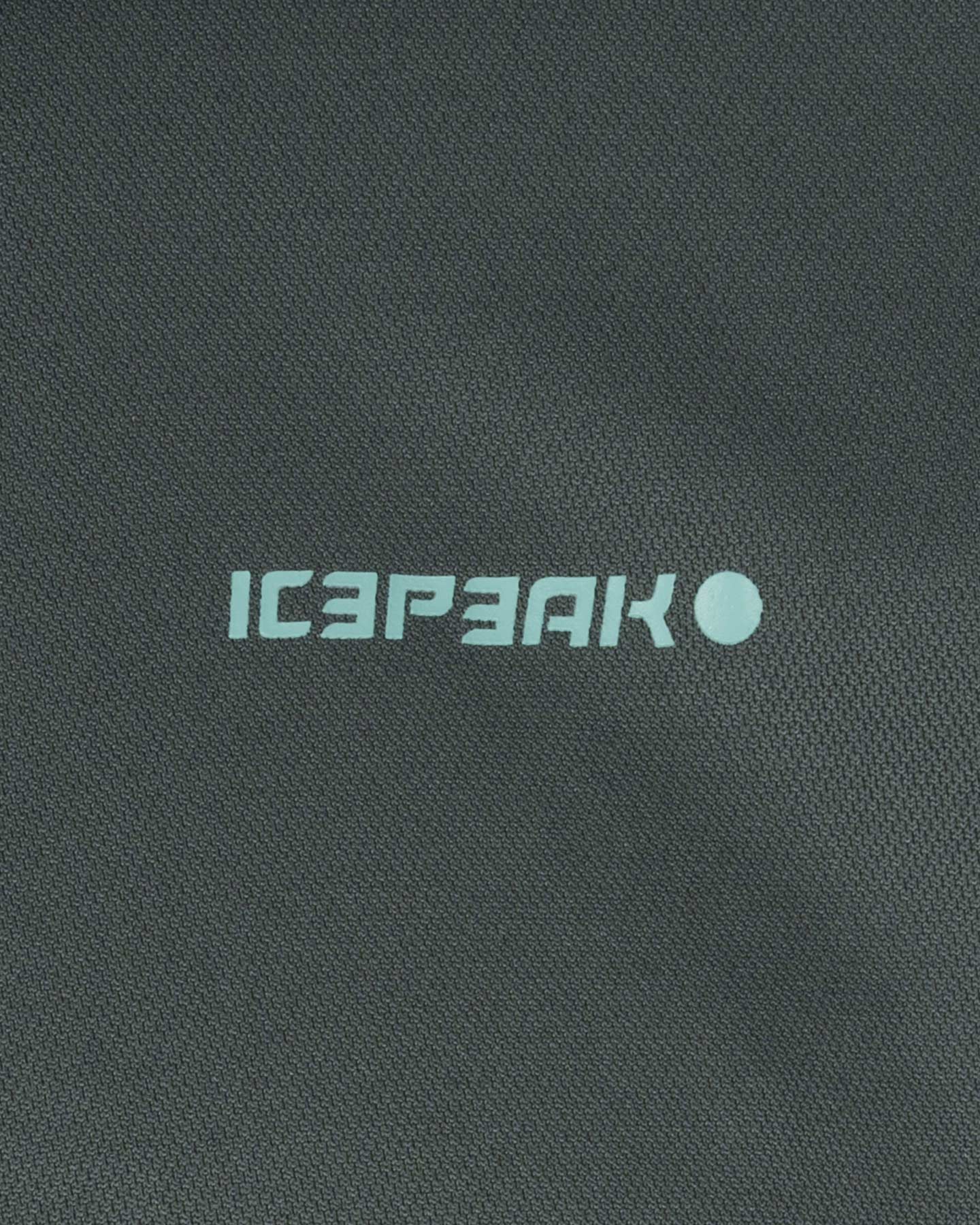 T-shirt ICEPEAK BELLMONT M - Verde - 2 | Cisalfa Sport
