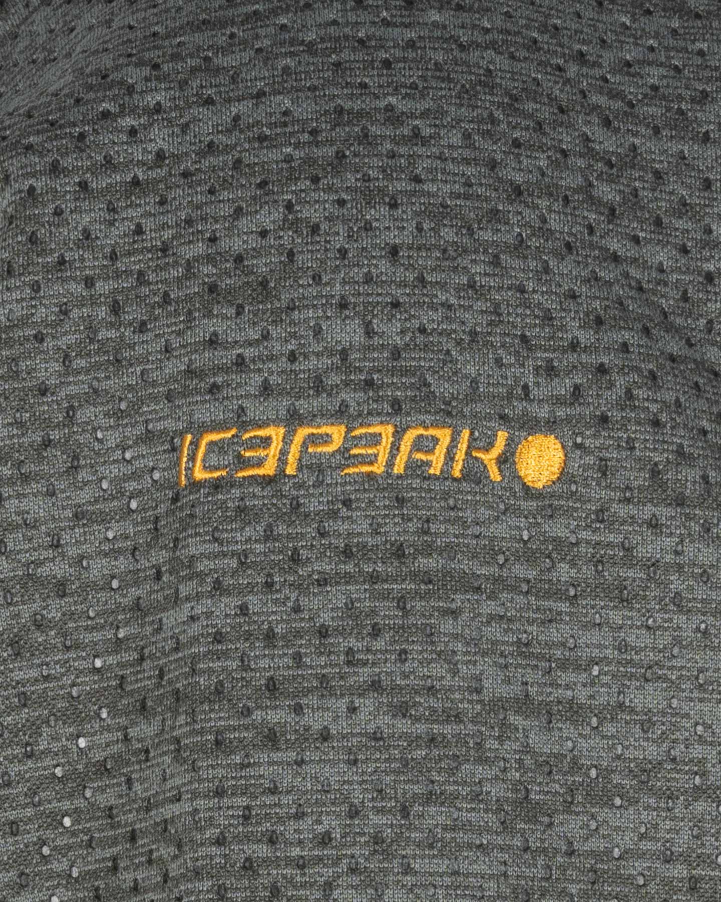 Pile ICEPEAK BRIDGMAN M - Verde - 2 | Cisalfa Sport