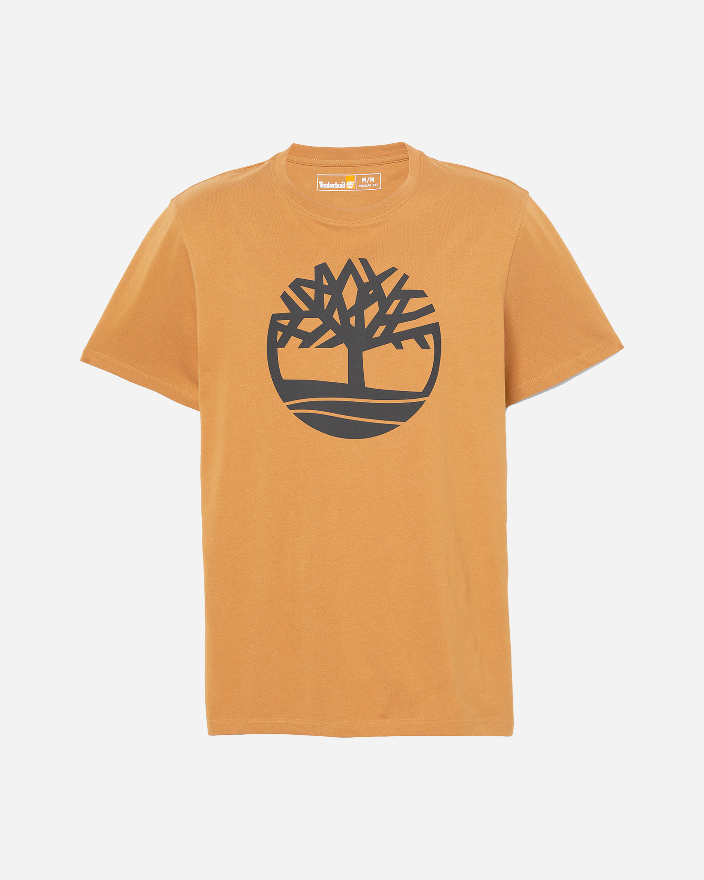 T-shirt TIMBERLAND KENNEBEC M - Giallo - 0 | Cisalfa Sport