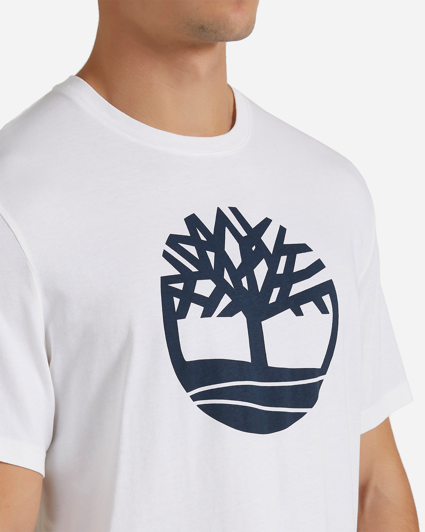T-shirt TIMBERLAND KENNEBEC M - Bianco - 4 | Cisalfa Sport