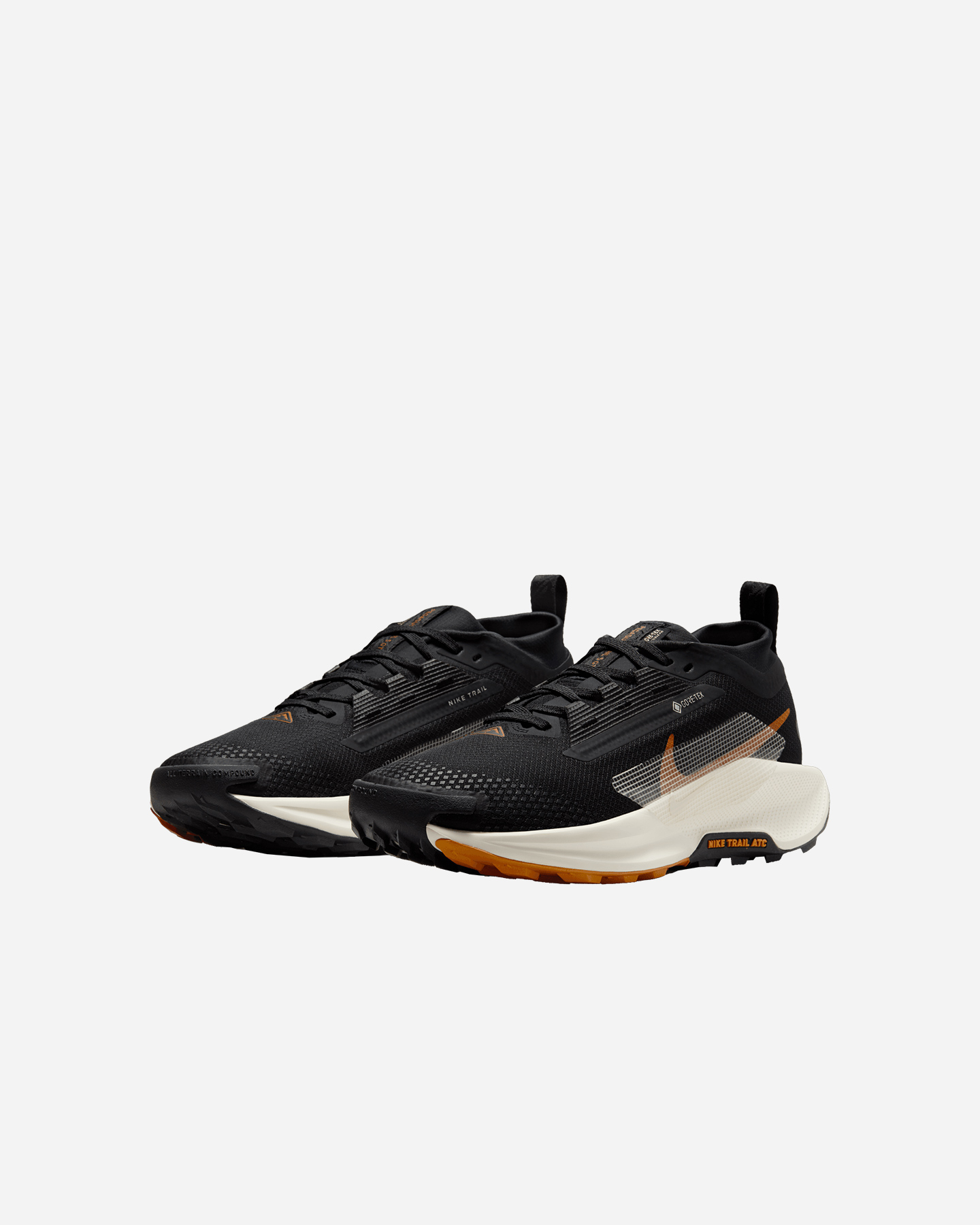 Scarpe trail NIKE PEGASUS TRAIL 5 GORE TEX W - Nero - 1 | Cisalfa Sport