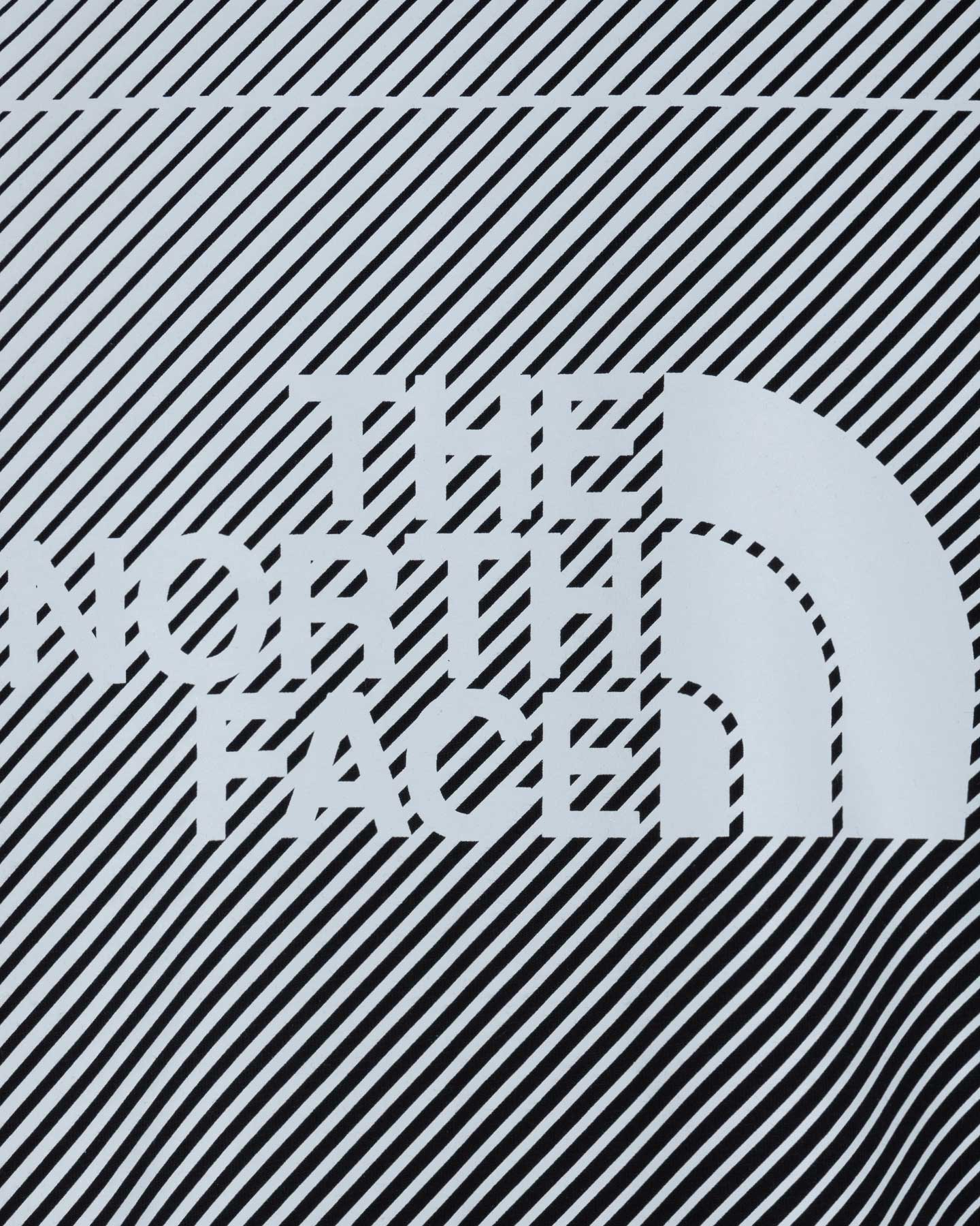 T-shirt THE NORTH FACE LOGO TACUNE M - 8 | Cisalfa Sport