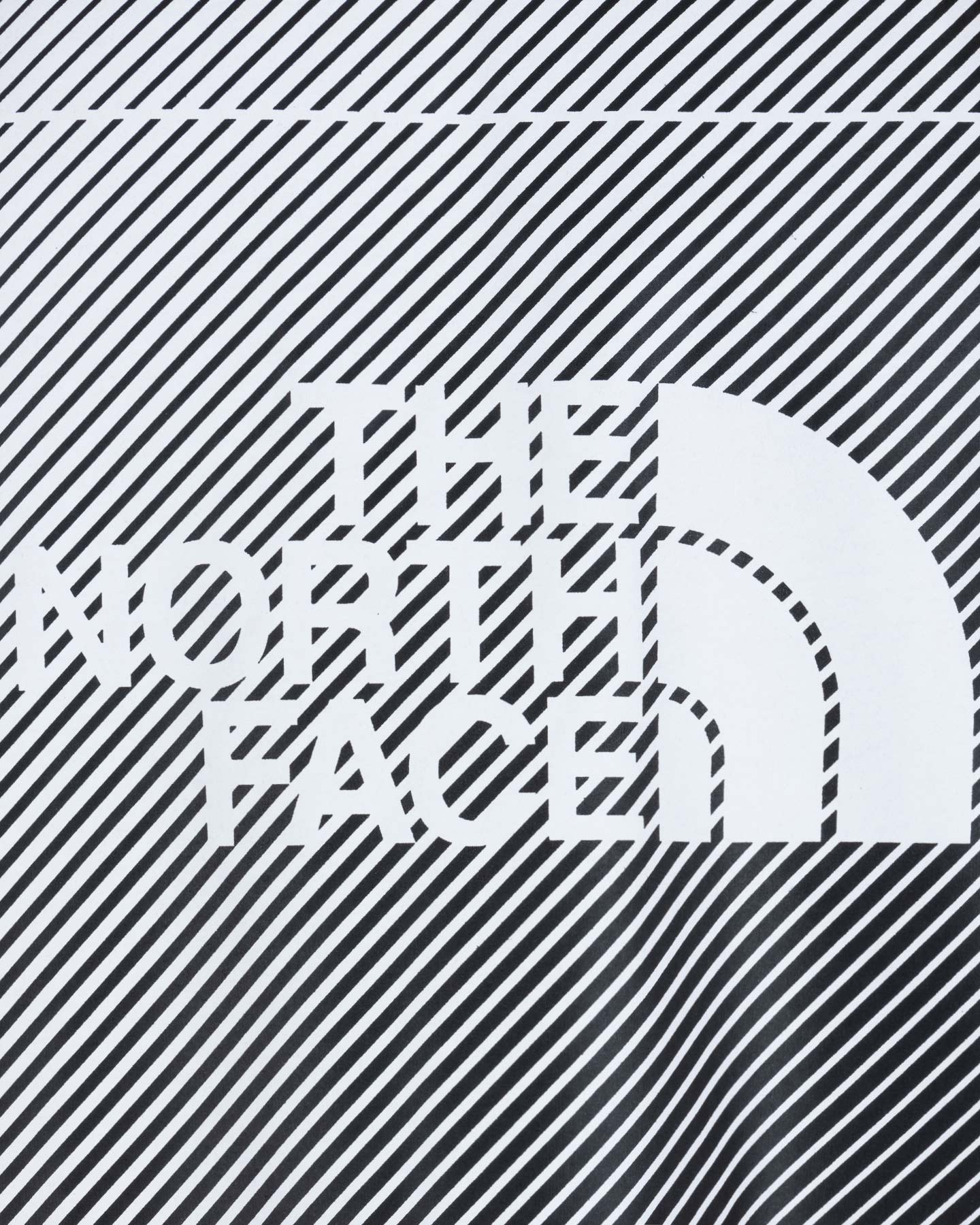 T-shirt THE NORTH FACE LOGO TACUNE M - 11 | Cisalfa Sport