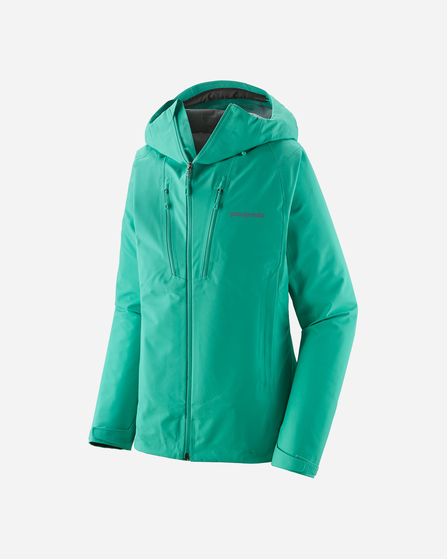 Giacca outdoor PATAGONIA TRIOLET 3L GTX W - 4 | Cisalfa Sport