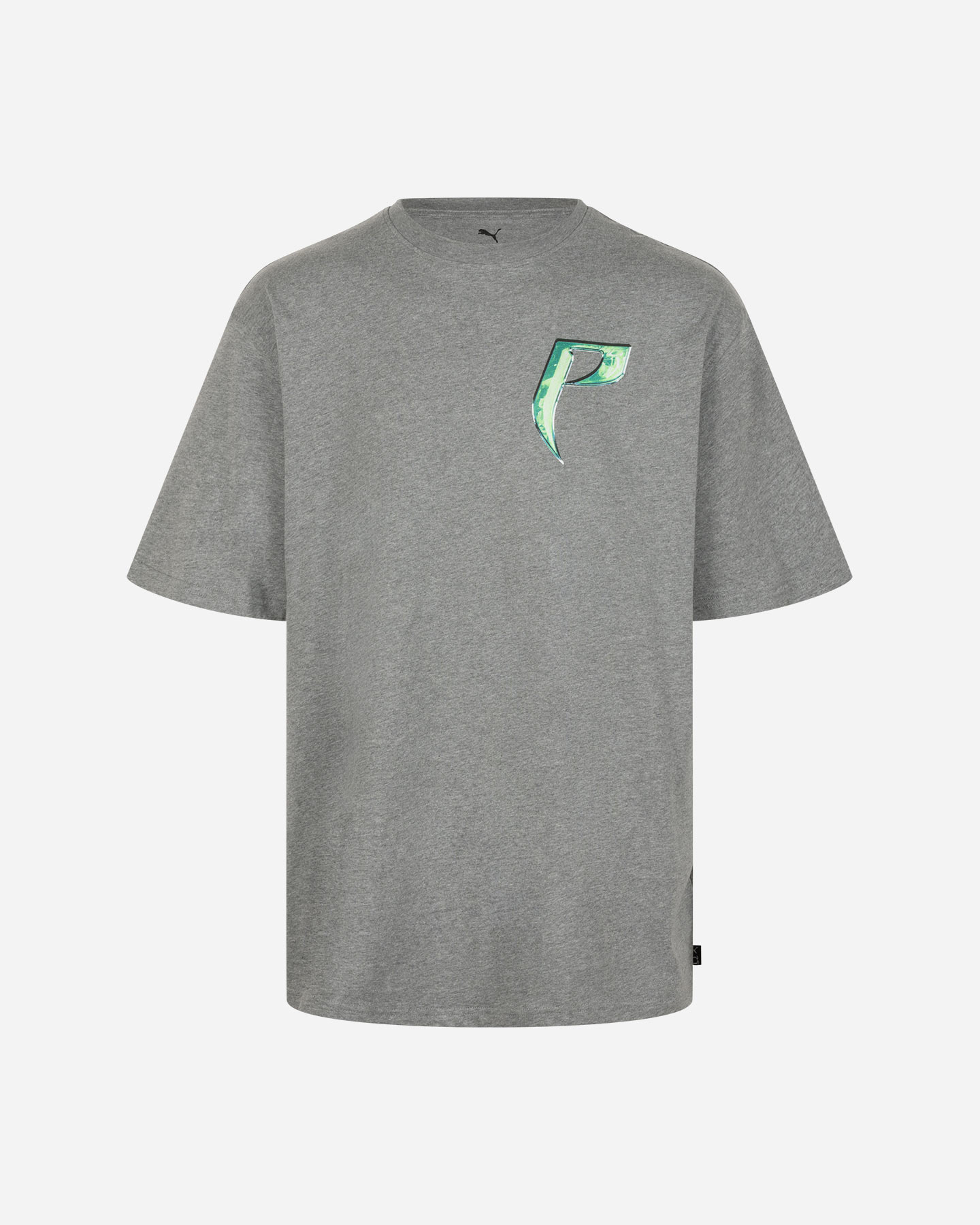 T-shirt PUMA HOOPS LOGO M - Grigio - 0 | Cisalfa Sport