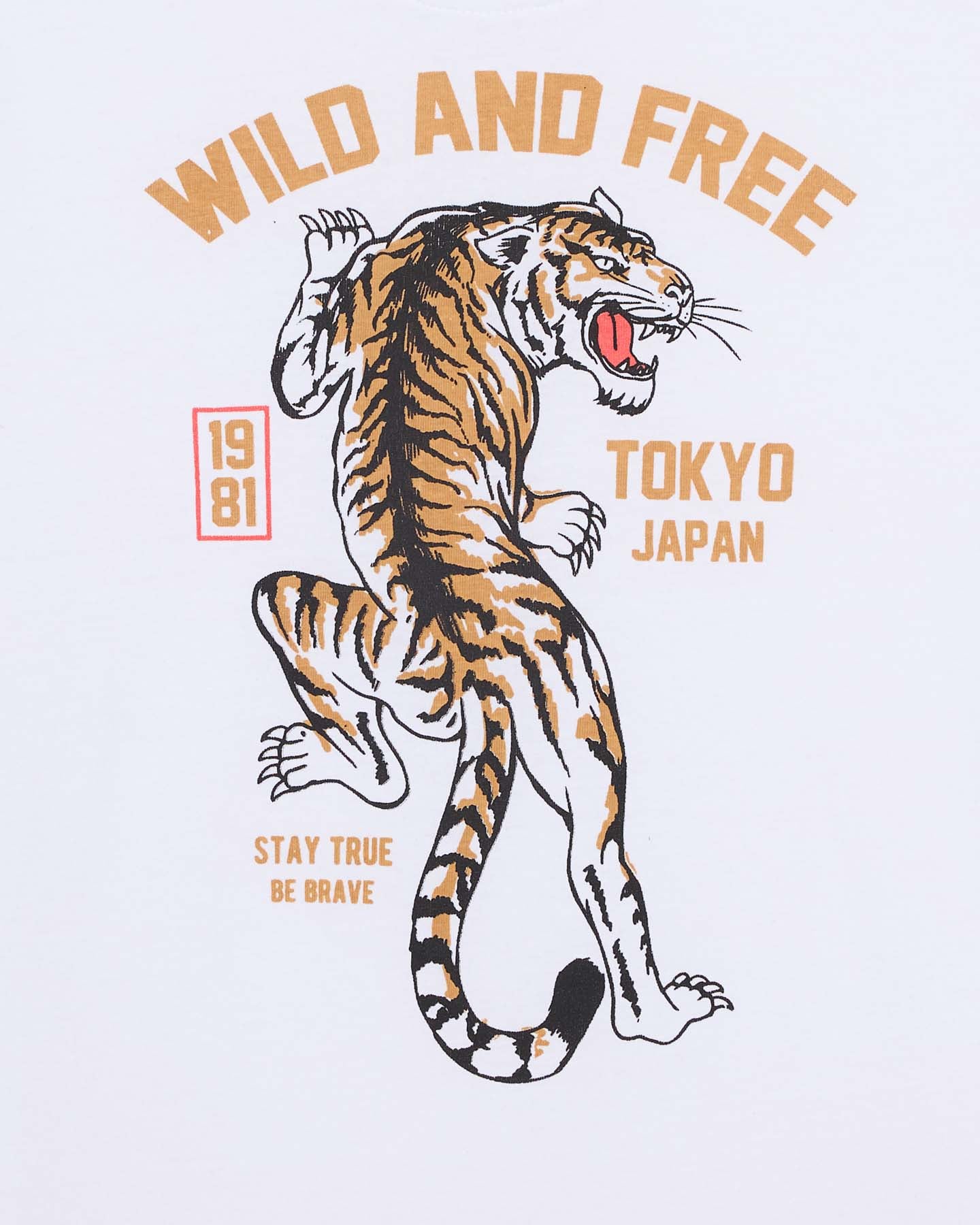 T-shirt FIREFLY TIGER JR - Bianco - 2 | Cisalfa Sport