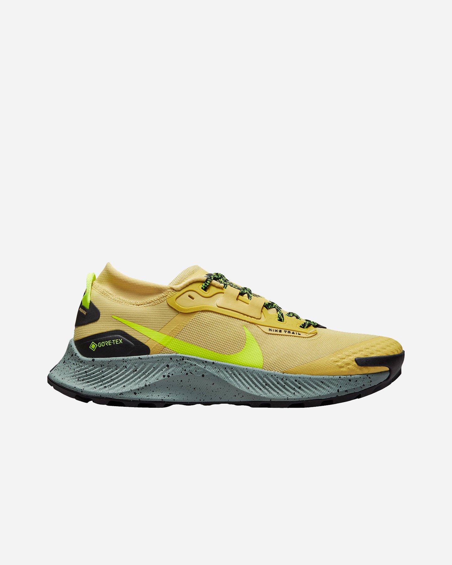 Scarpe trail NIKE PEGASUS TRAIL 3 GTX M - 0 | Cisalfa Sport